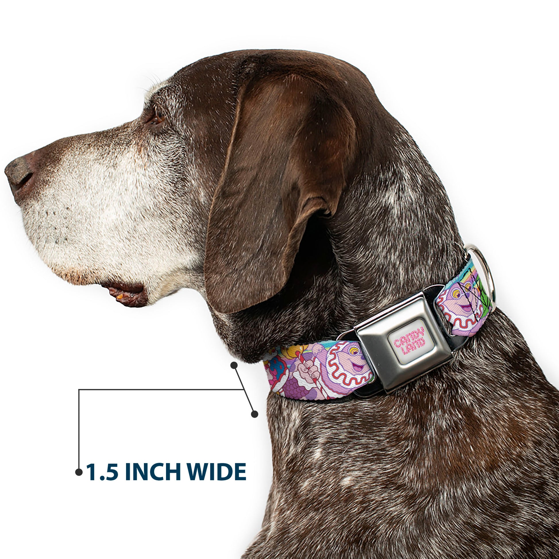 CANDY LAND Title Logo Full Color Light Gray/Pinks Seatbelt Buckle Collar - Candy Land Character Lineup Stripe Multi Color Seatbelt Buckle Collars Candy Land
