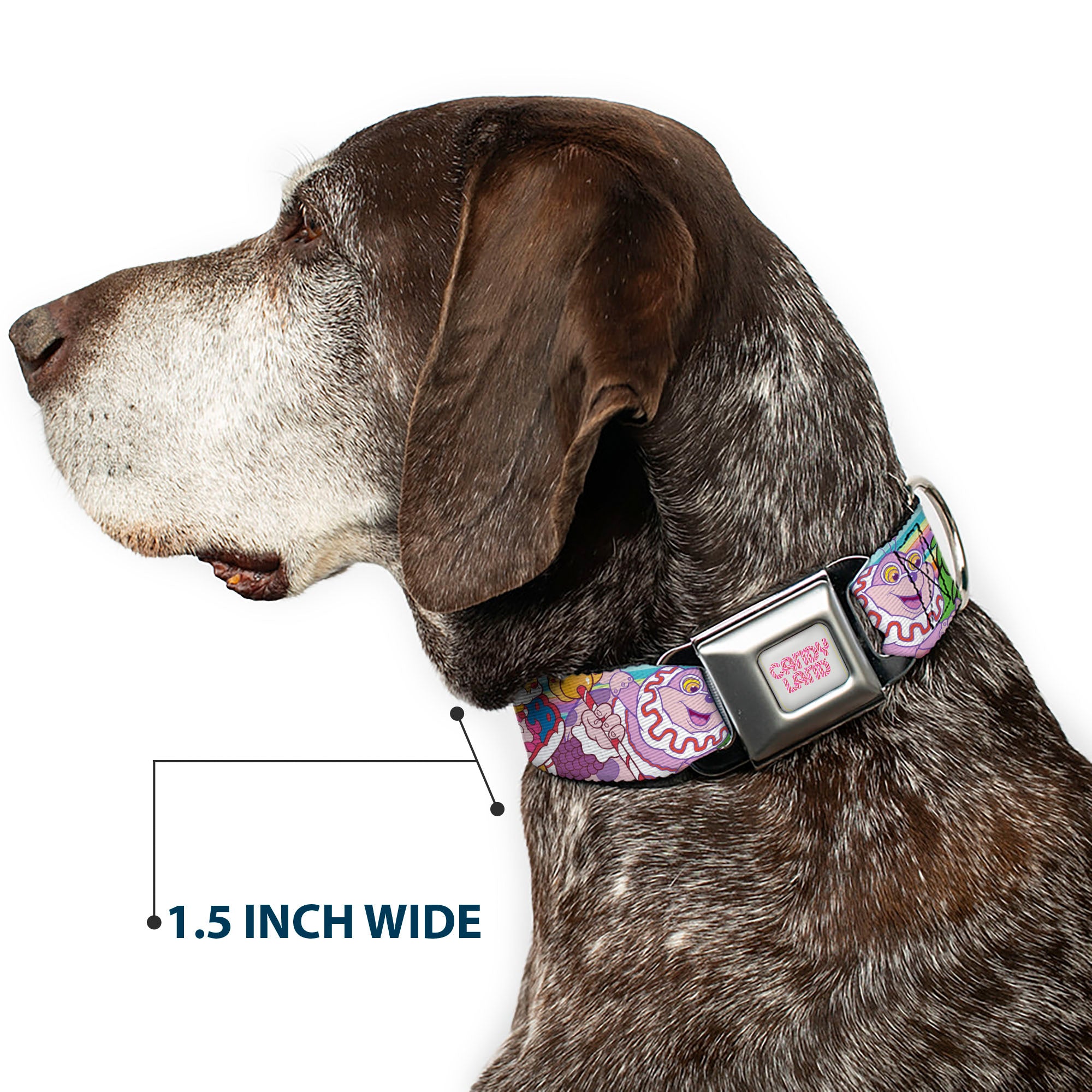 CANDY LAND Title Logo Full Color Light Gray/Pinks Seatbelt Buckle Collar - Candy Land Character Lineup Stripe Multi Color Seatbelt Buckle Collars Candy Land