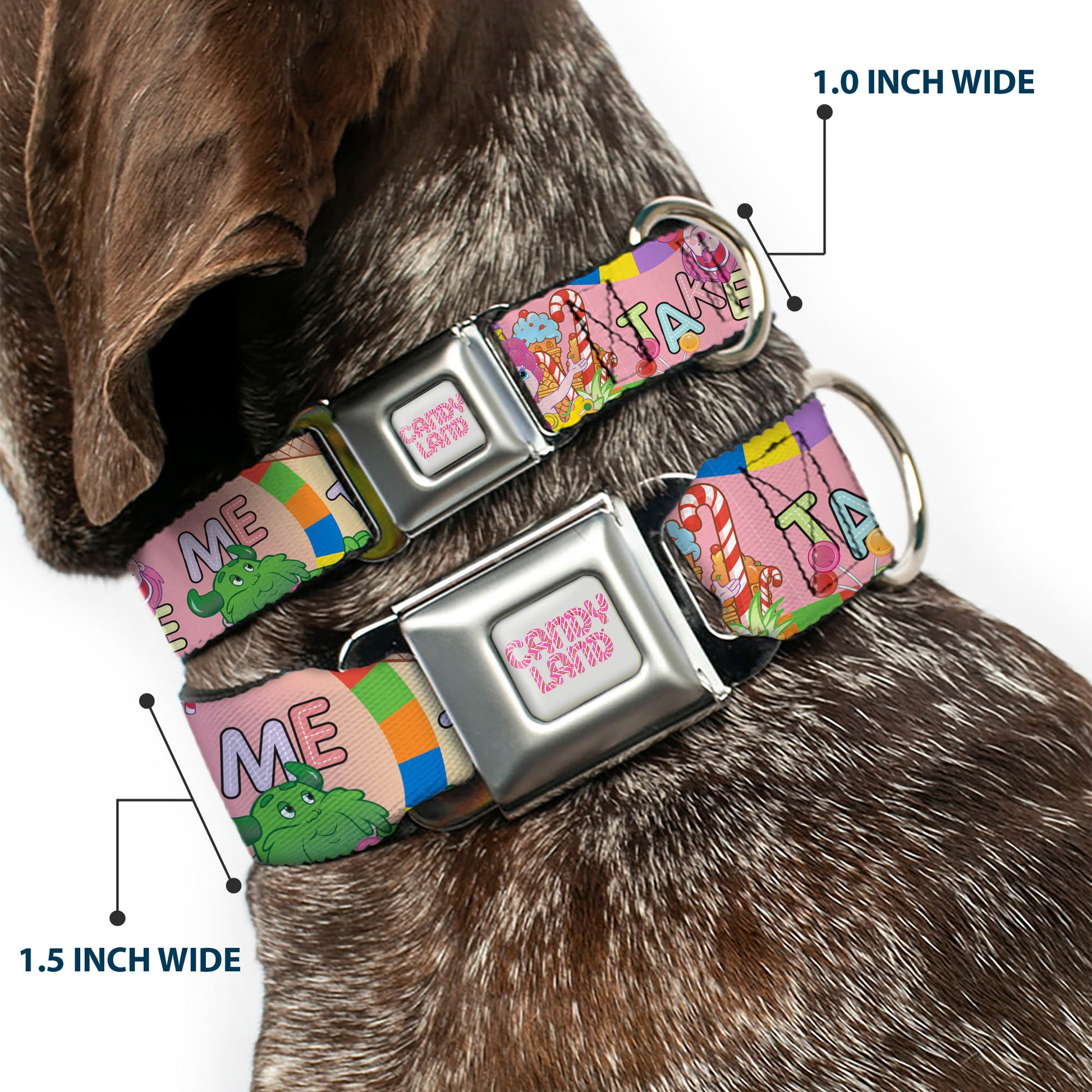 CANDY LAND Title Logo Full Color Light Gray/Pinks Seatbelt Buckle Collar - Candy Land TAKE ME TO THE CANDY Character Collage Multi Color Seatbelt Buckle Collars Candy Land