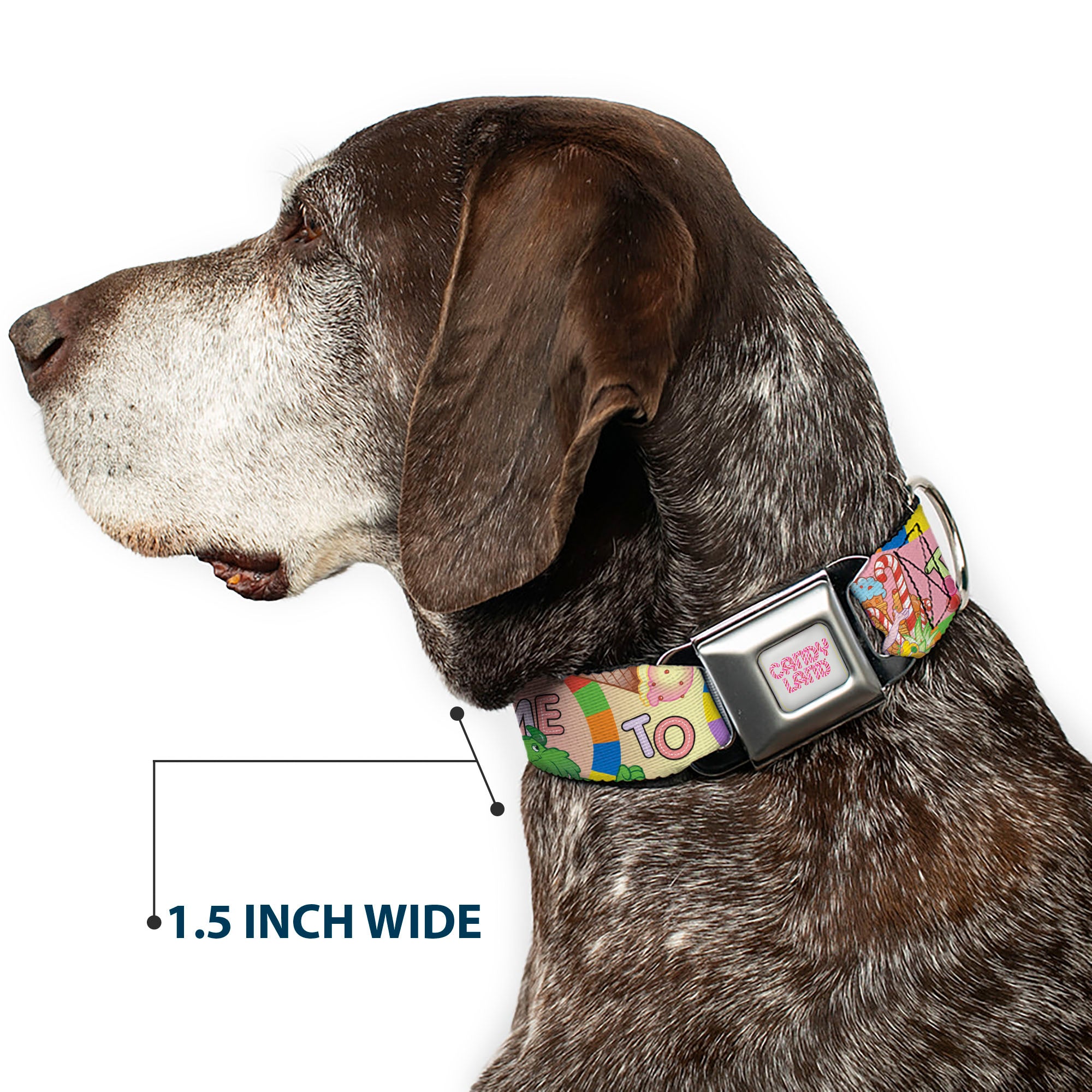 CANDY LAND Title Logo Full Color Light Gray/Pinks Seatbelt Buckle Collar - Candy Land TAKE ME TO THE CANDY Character Collage Multi Color Seatbelt Buckle Collars Candy Land