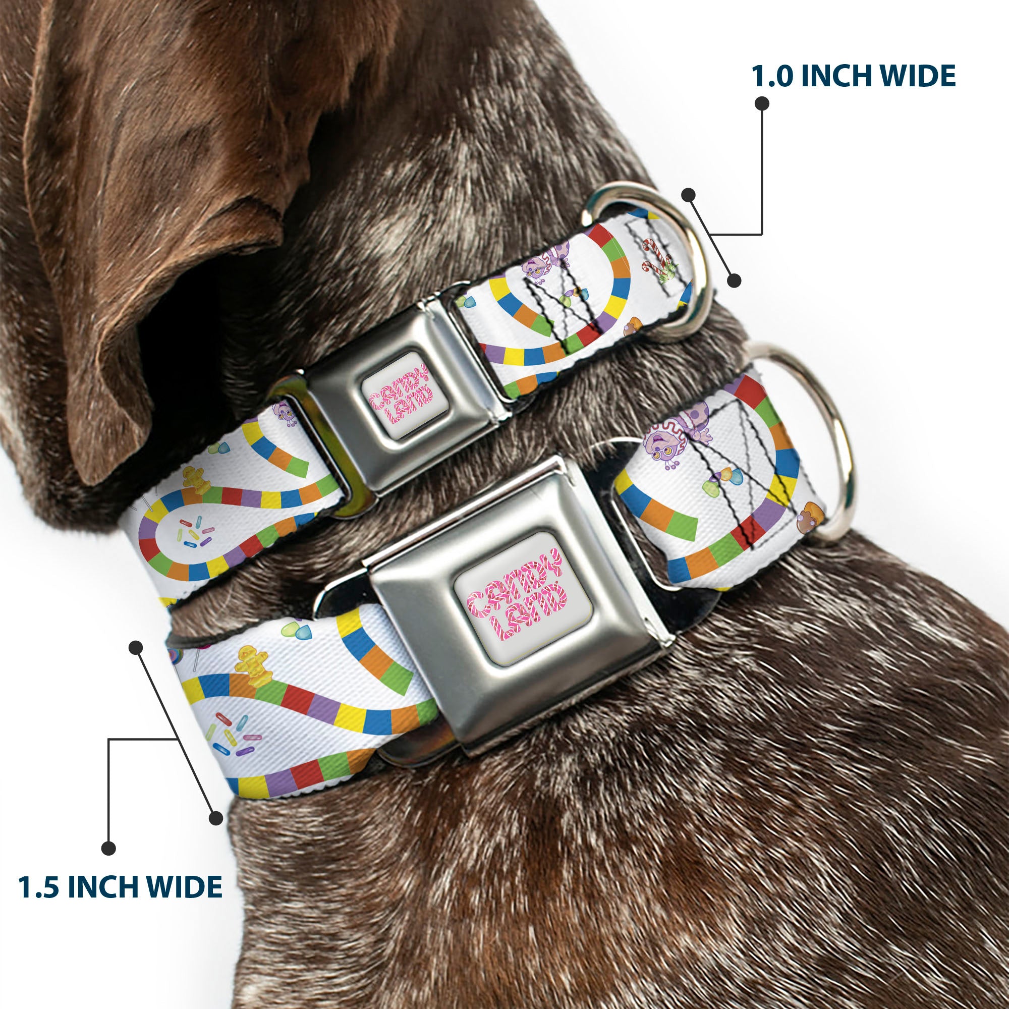 CANDY LAND Title Logo Full Color Light Gray/Pinks Seatbelt Buckle Collar - Candy Land Game Board Path Characters and Icons White/Multi Color Seatbelt Buckle Collars Candy Land
