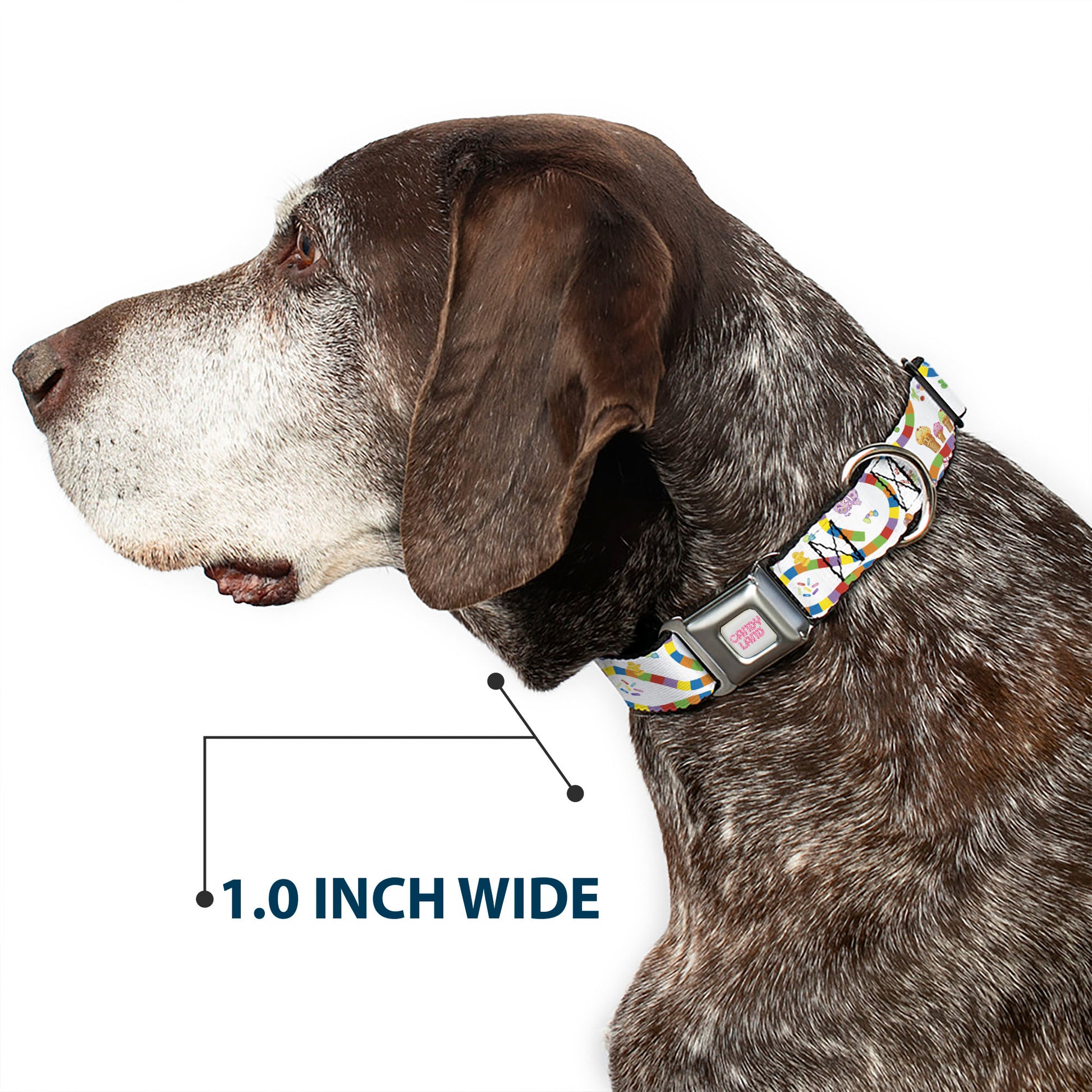 CANDY LAND Title Logo Full Color Light Gray/Pinks Seatbelt Buckle Collar - Candy Land Game Board Path Characters and Icons White/Multi Color Seatbelt Buckle Collars Candy Land