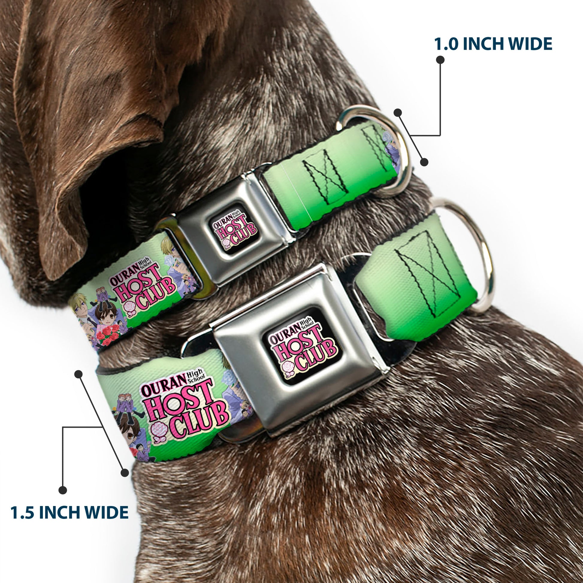 OURAN HIGH SCHOOL HOST CLUB Title Logo Full Color Black Seatbelt Buckle Collar - OURAN HIGH SCHOOL HOST CLUB Haruhi and Friends Group Pose and Title Logo Greens Seatbelt Buckle Collars Ouran High School Host Club