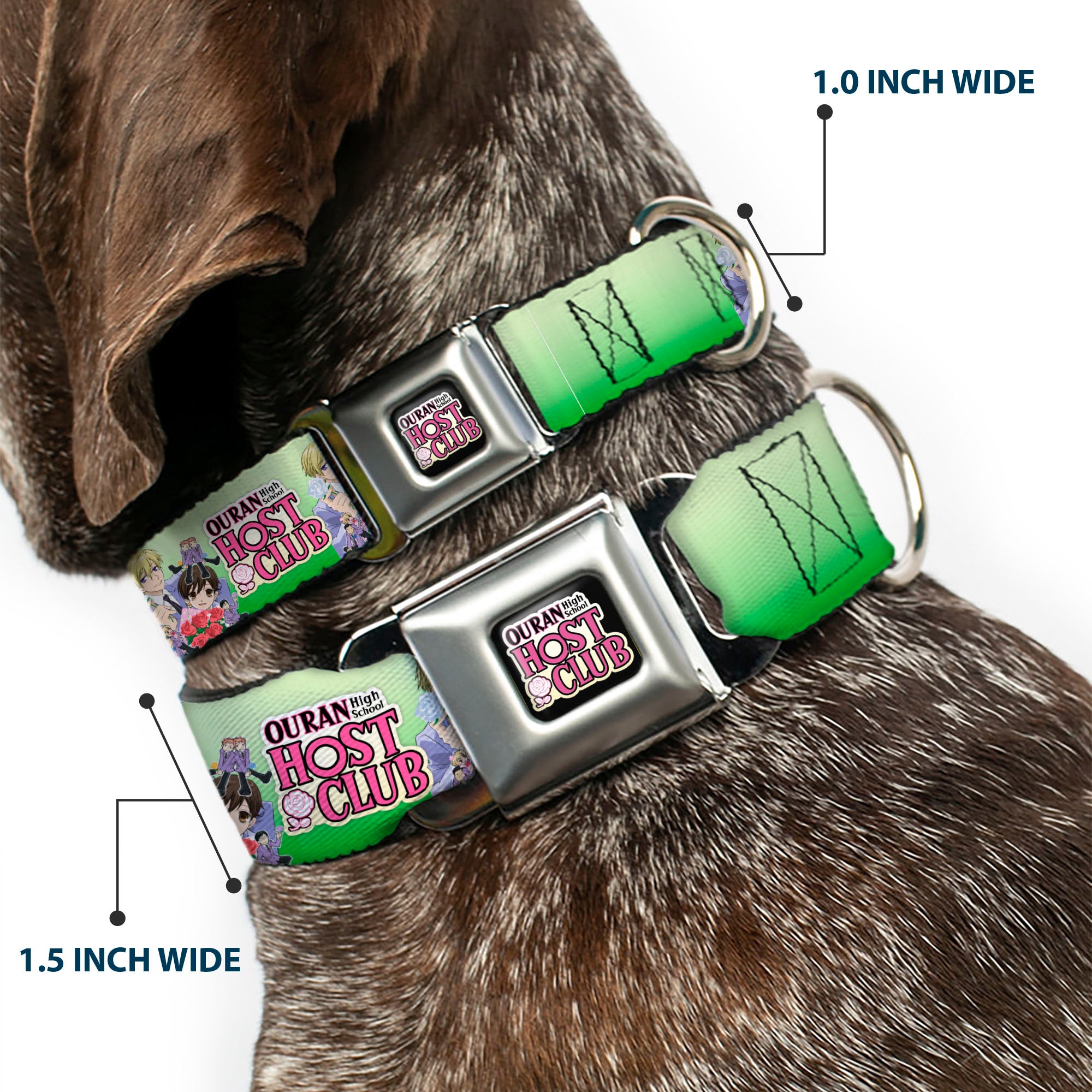 OURAN HIGH SCHOOL HOST CLUB Title Logo Full Color Black Seatbelt Buckle Collar - OURAN HIGH SCHOOL HOST CLUB Haruhi and Friends Group Pose and Title Logo Greens Seatbelt Buckle Collars Ouran High School Host Club