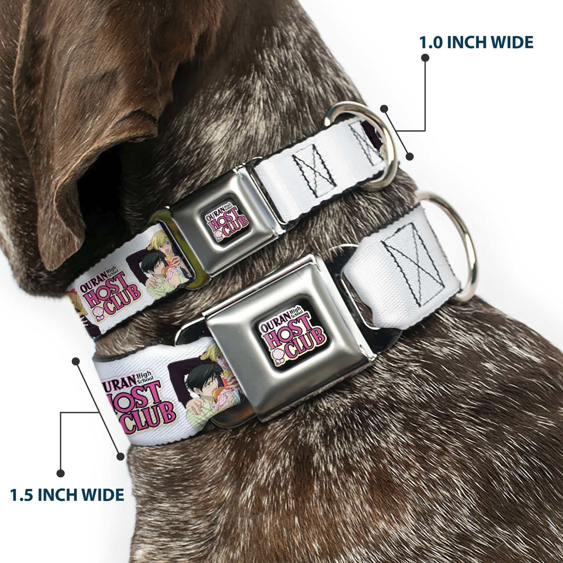 OURAN HIGH SCHOOL HOST CLUB Title Logo Full Color Black Seatbelt Buckle Collar - OURAN HIGH SCHOOL HOST CLUB Kyoya Haruhi and Antoinette Pose and Title Logo White Seatbelt Buckle Collars Ouran High School Host Club