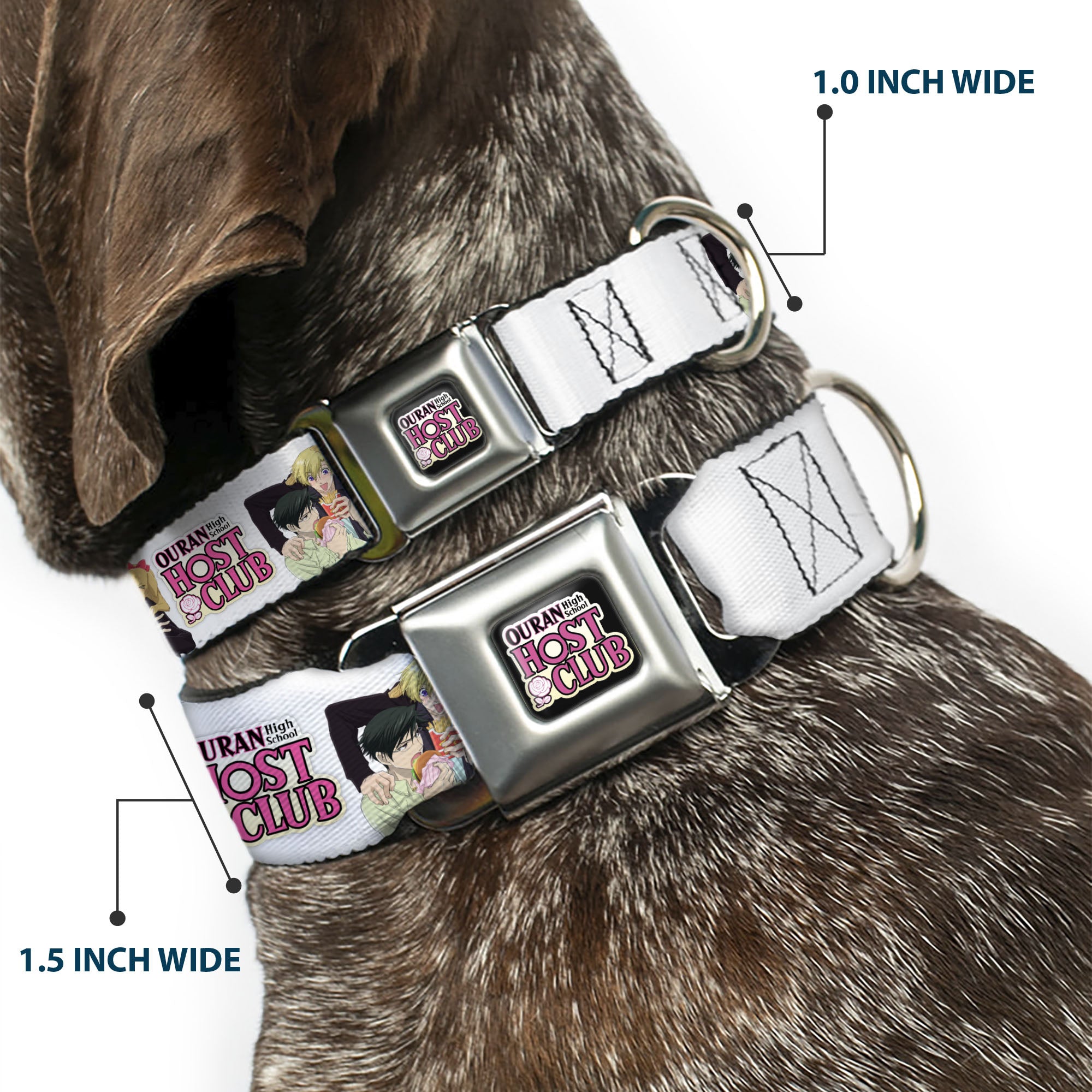 OURAN HIGH SCHOOL HOST CLUB Title Logo Full Color Black Seatbelt Buckle Collar - OURAN HIGH SCHOOL HOST CLUB Kyoya Haruhi and Antoinette Pose and Title Logo White Seatbelt Buckle Collars Ouran High School Host Club
