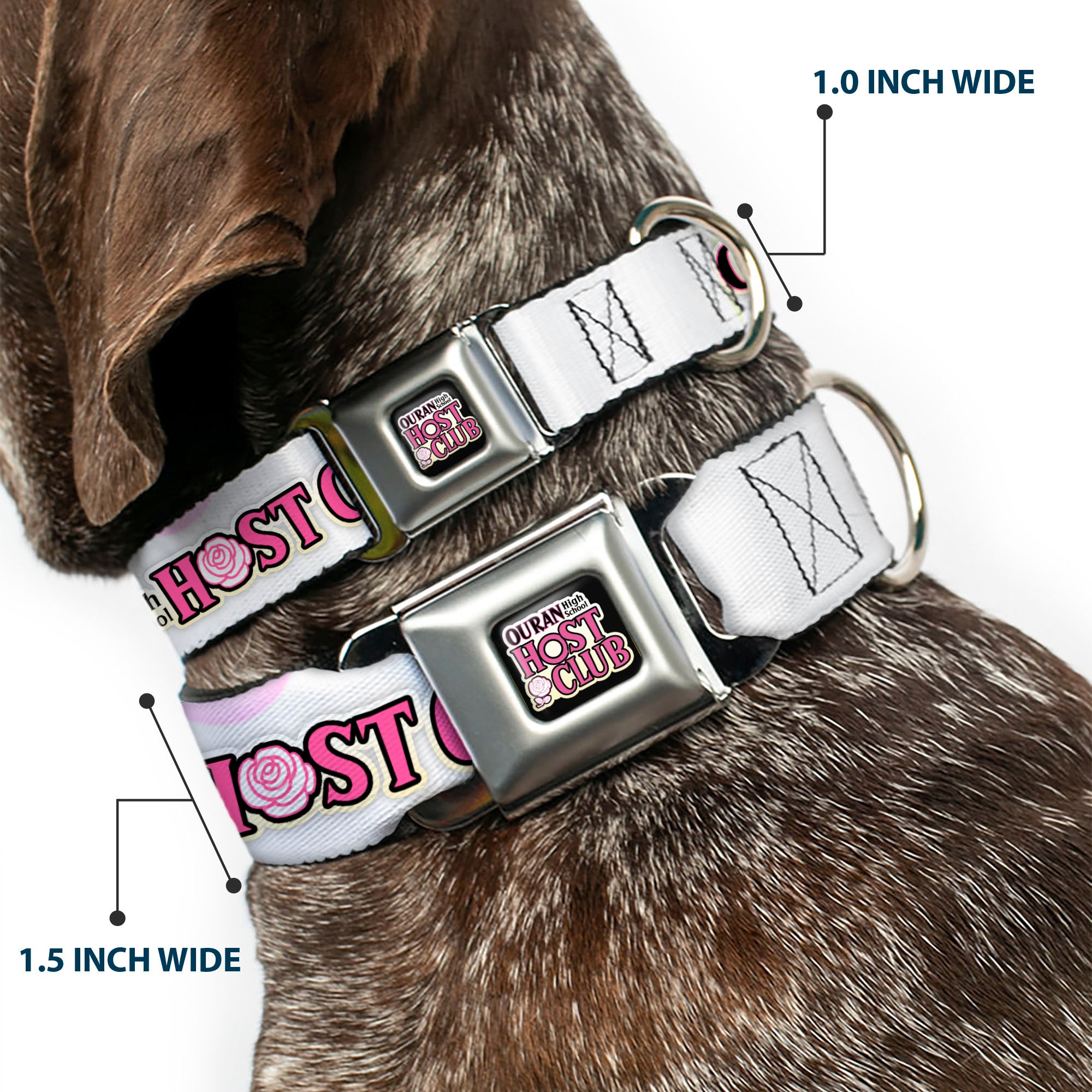 OURAN HIGH SCHOOL HOST CLUB Title Logo Full Color Black Seatbelt Buckle Collar - OURAN HIGH SCHOOL Chibi Tamaki and Haruhi Pose and Title Logo White Seatbelt Buckle Collars Ouran High School Host Club