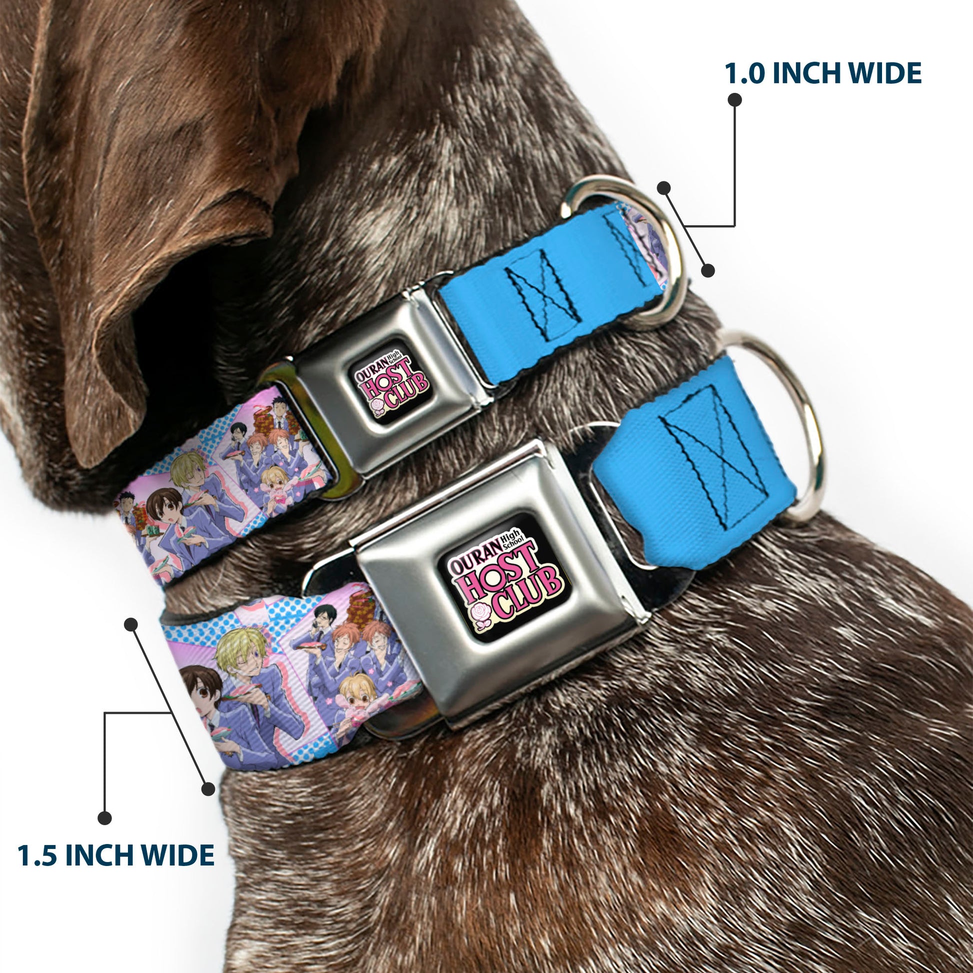 OURAN HIGH SCHOOL HOST CLUB Title Logo Full Color Black Seatbelt Buckle Collar - Ouran High School Host Club Seven Character Sushi Dining Pose Pink/Blue Seatbelt Buckle Collars Ouran High School Host Club