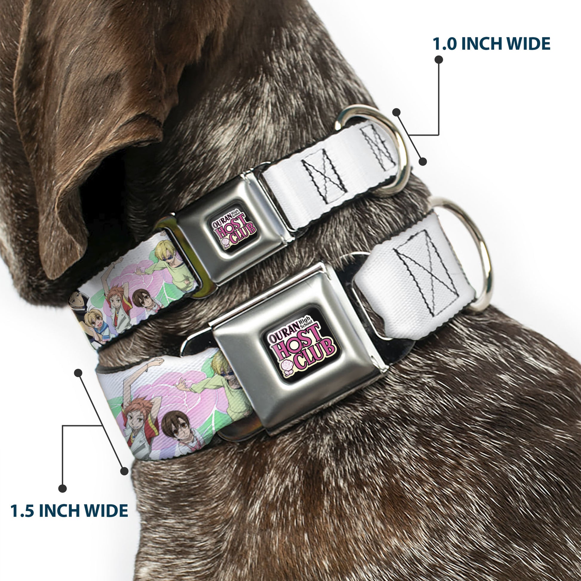 OURAN HIGH SCHOOL HOST CLUB Title Logo Full Color Black Seatbelt Buckle Collar - OURAN HIGH SCHOOL Seven Character Group Pose and Title Logo White Seatbelt Buckle Collars Ouran High School Host Club