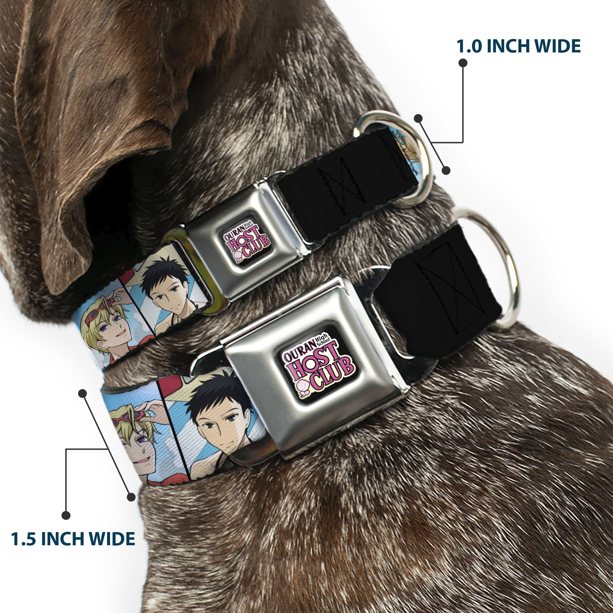 OURAN HIGH SCHOOL HOST CLUB Title Logo Full Color Black Seatbelt Buckle Collar - Ouran High School Host Club Seven Character Beach Day Pose Blocks Seatbelt Buckle Collars Ouran High School Host Club