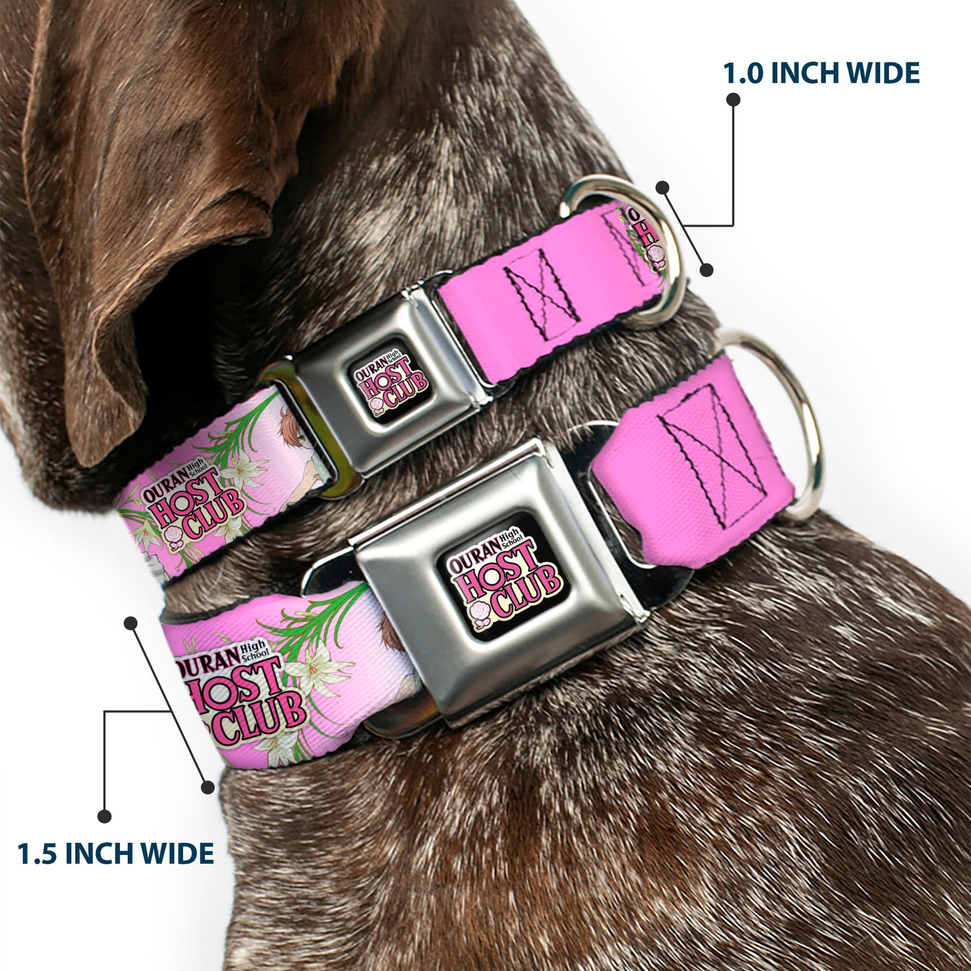 OURAN HIGH SCHOOL HOST CLUB Title Logo Full Color Black Seatbelt Buckle Collar - OURAN HIGH SCHOOL HOST CLUB Haruhi and Hitachiin Twins Lilies Pose and Title Logo Pinks Seatbelt Buckle Collars Ouran High School Host Club