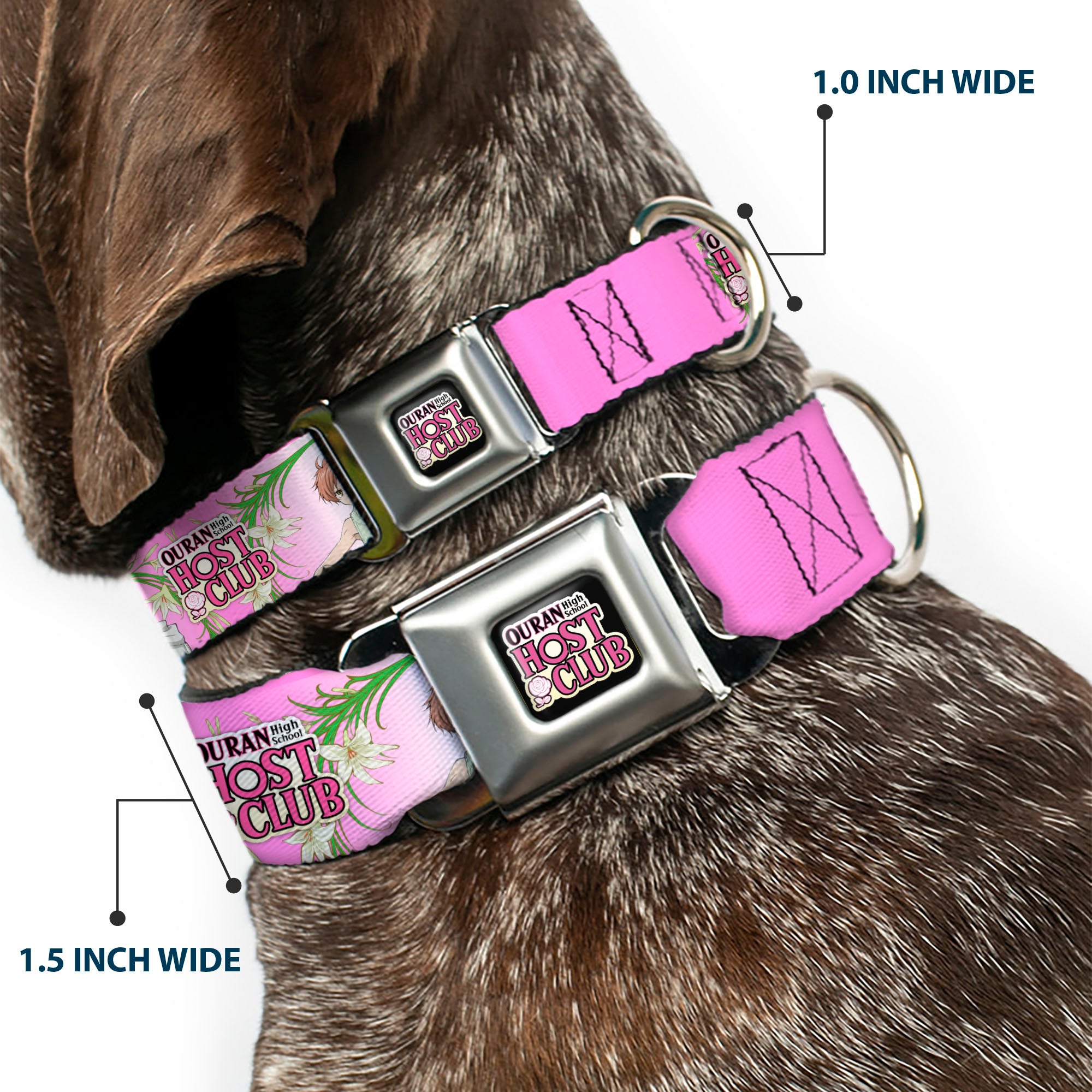 OURAN HIGH SCHOOL HOST CLUB Title Logo Full Color Black Seatbelt Buckle Collar - OURAN HIGH SCHOOL HOST CLUB Haruhi and Hitachiin Twins Lilies Pose and Title Logo Pinks Seatbelt Buckle Collars Ouran High School Host Club
