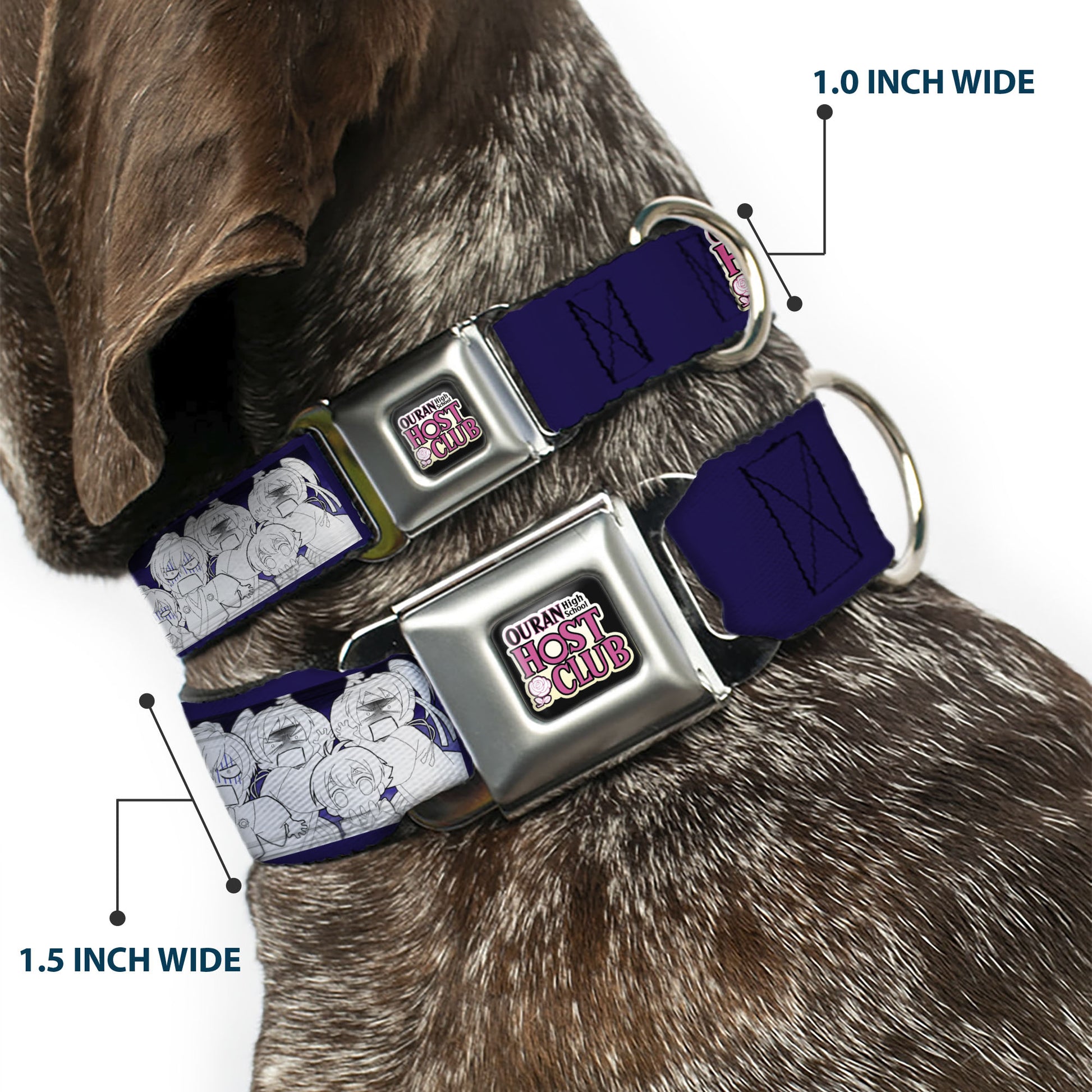 OURAN HIGH SCHOOL HOST CLUB Title Logo Full Color Black Seatbelt Buckle Collar - OURAN HIGH SCHOOL HOST CLUB Character Doodle and Title Logo Violet Seatbelt Buckle Collars Ouran High School Host Club