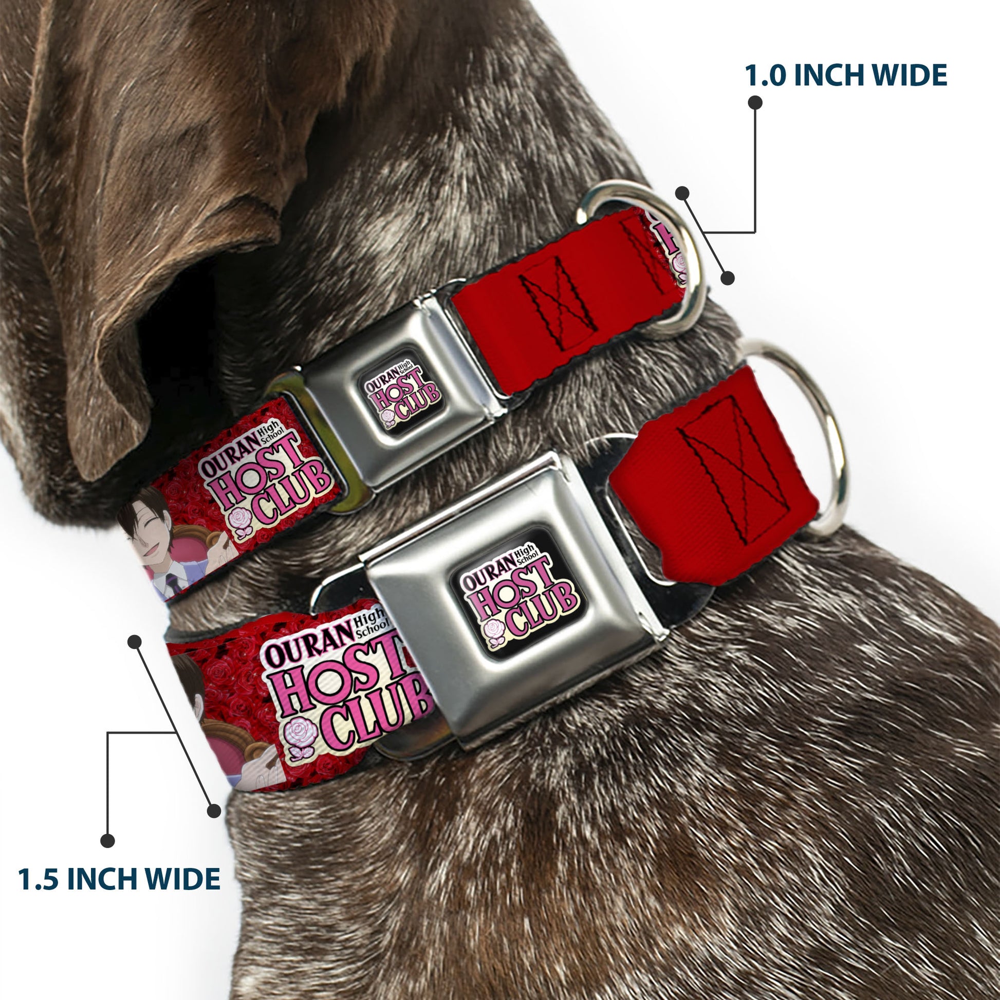 OURAN HIGH SCHOOL HOST CLUB Title Logo Full Color Black Seatbelt Buckle Collar - OURAN HIGH SCHOOL HOST CLUB Haruhi Smiling Pose with Roses and Title Logo Reds Seatbelt Buckle Collars Ouran High School Host Club