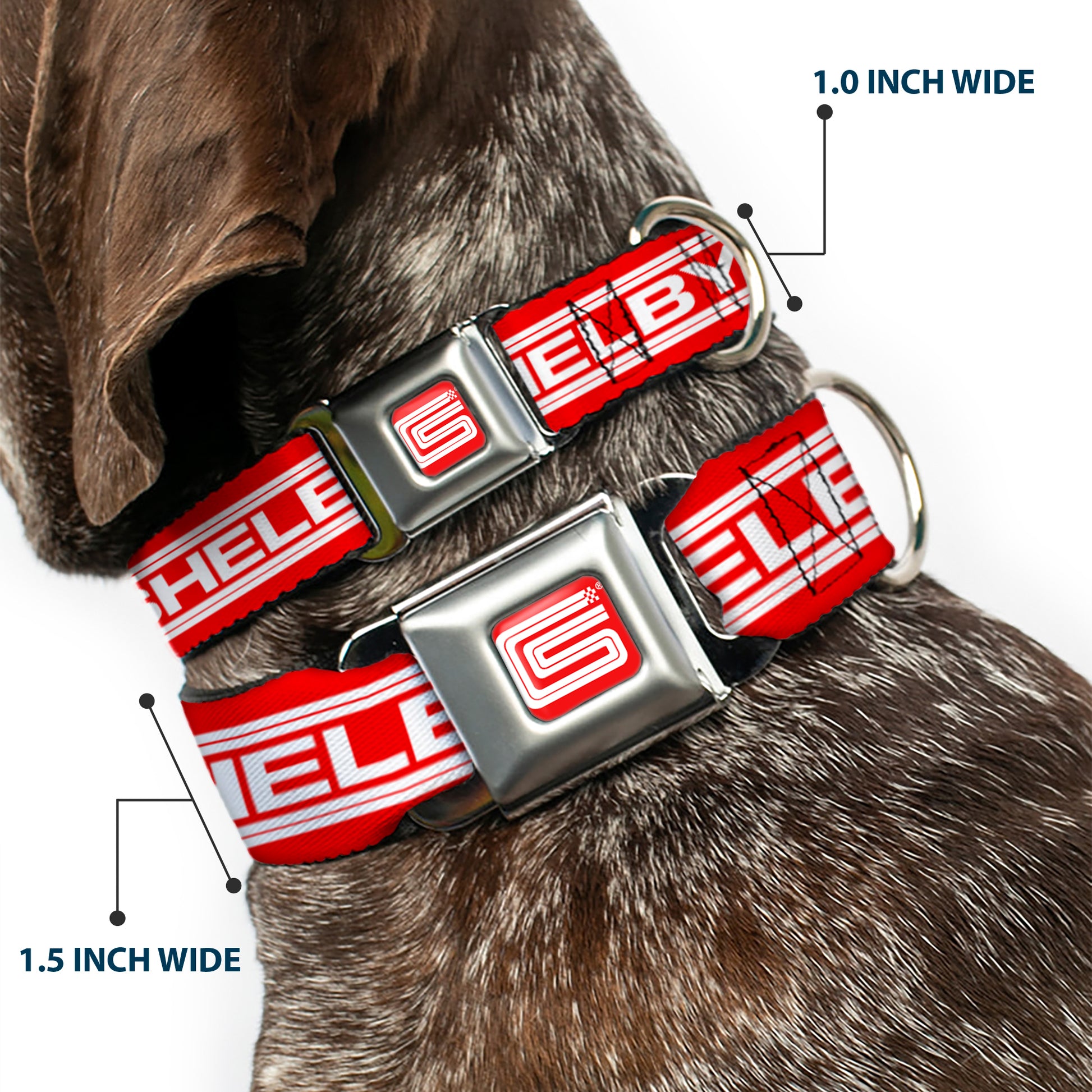 Carroll Shelby CS Racing Logo Full Color Red/White Seatbelt Buckle Collar - Carroll Shelby CS SHELBY Racing Logo Block Red/White Seatbelt Buckle Collars Shelby