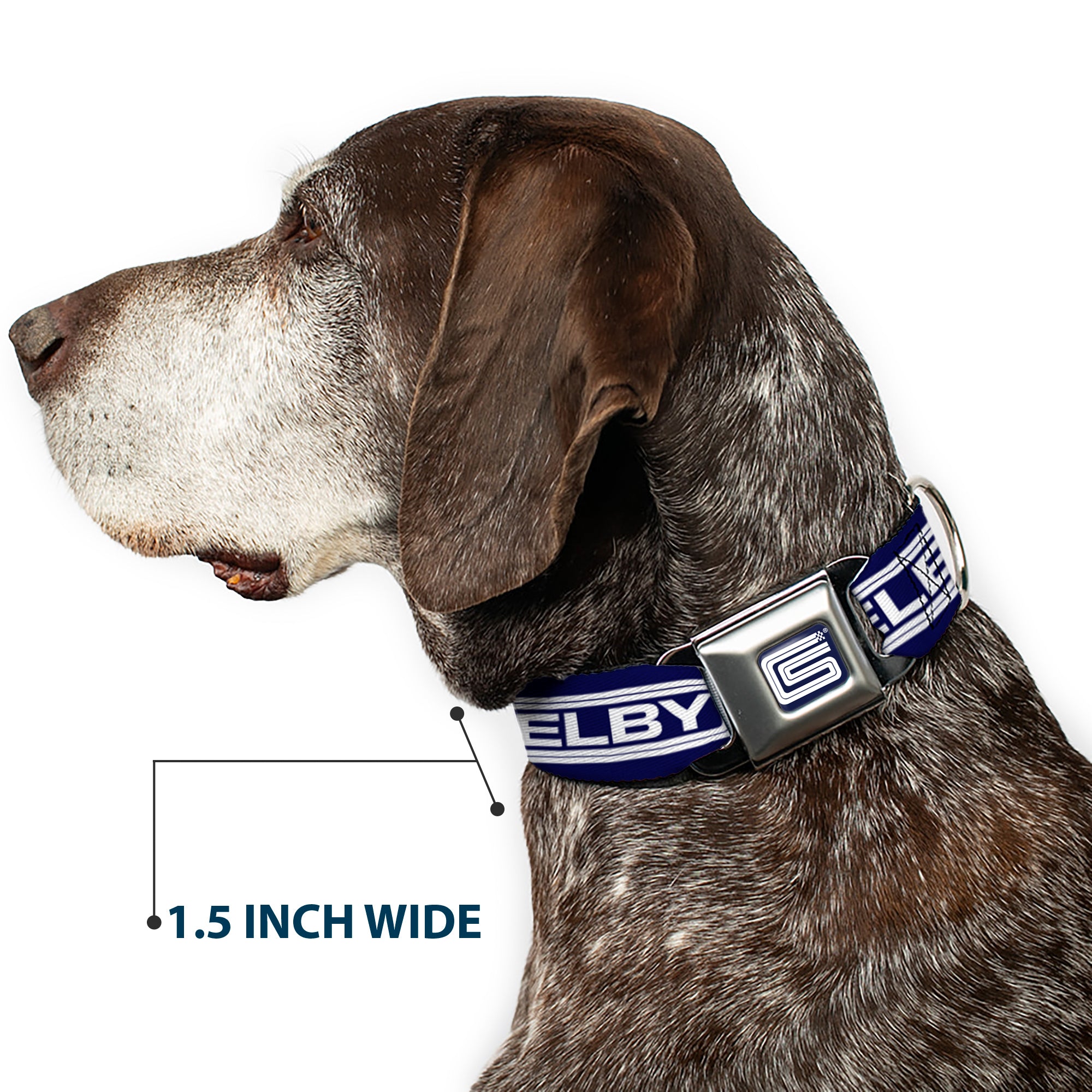 Carroll Shelby CS Racing Logo Full Color Navy/White Seatbelt Buckle Collar - Carroll Shelby CS SHELBY Racing Logo Block Navy/White Seatbelt Buckle Collars Shelby