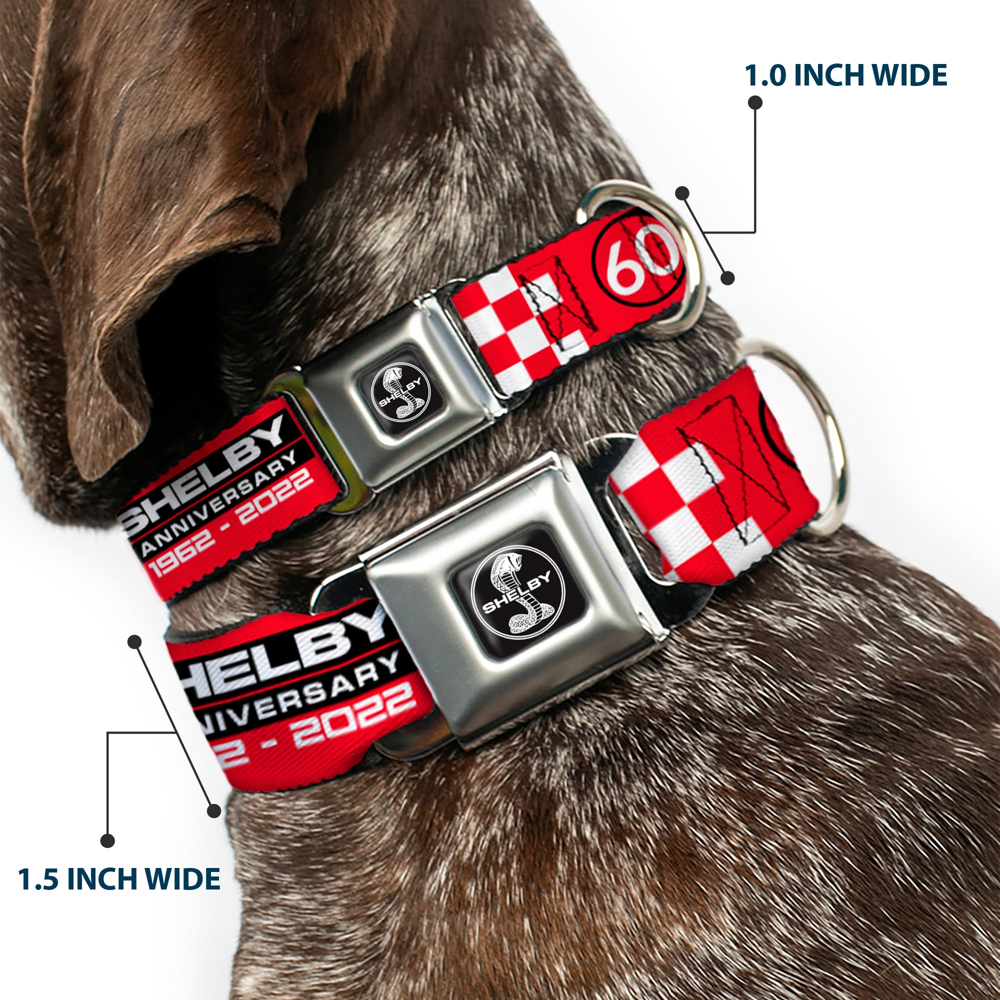 SHELBY Tiffany Split Full Color Black/White Seatbelt Buckle Collar - SHELBY 60th ANNIVERSARY Checker Red/Black/White Seatbelt Buckle Collars Shelby