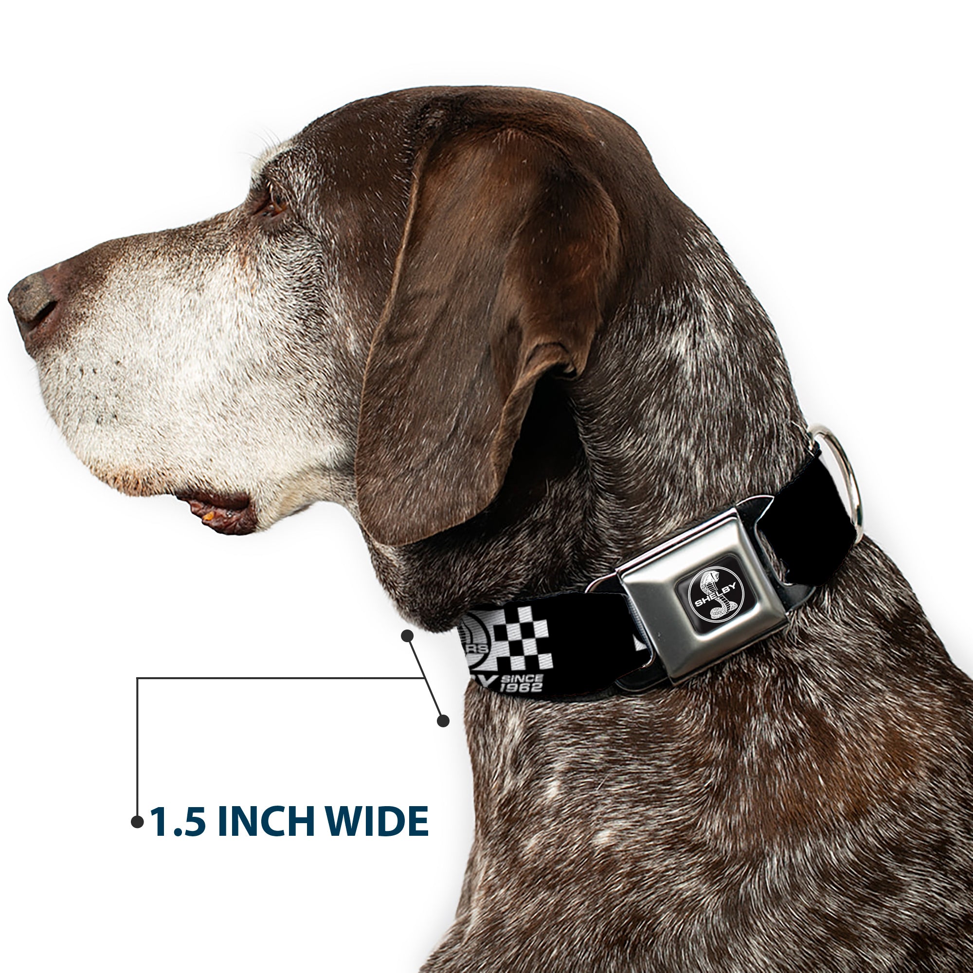 SHELBY Tiffany Split Full Color Black/White Seatbelt Buckle Collar - SHELBY 60 YEARS SINCE 1962 Checker Black/White Seatbelt Buckle Collars Shelby