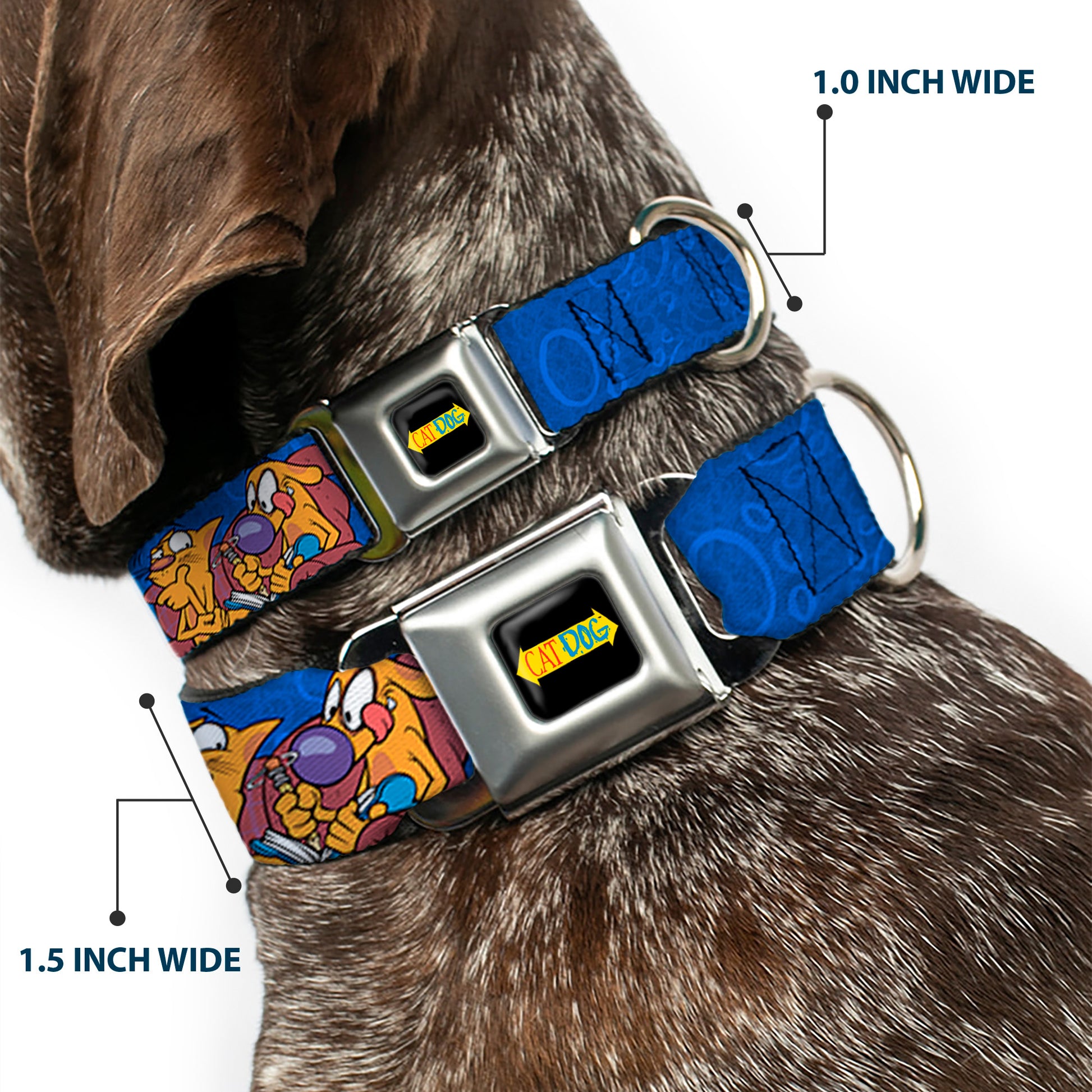 CatDog Stretch/CATDOG Logo Seatbelt Buckle Collar - CatDog Hanging Out Poses Blue Seatbelt Buckle Collars CatDog