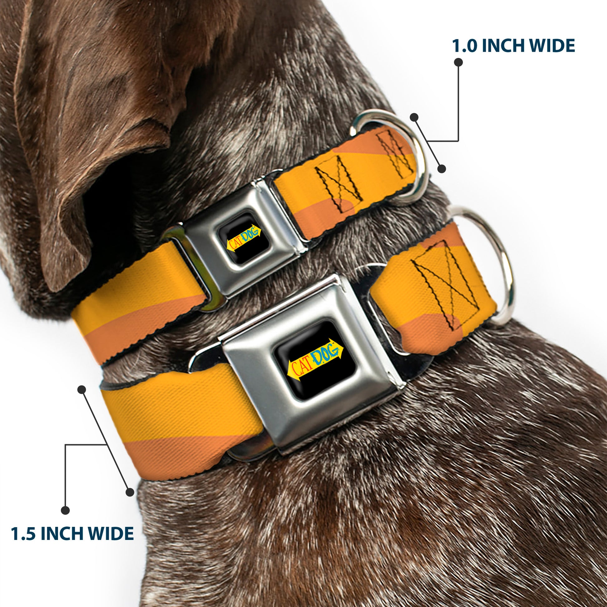 CatDog Stretch/CATDOG Logo Seatbelt Buckle Collar - CatDog Stretch/CATDOG Logo Seatbelt Buckle Collars CatDog