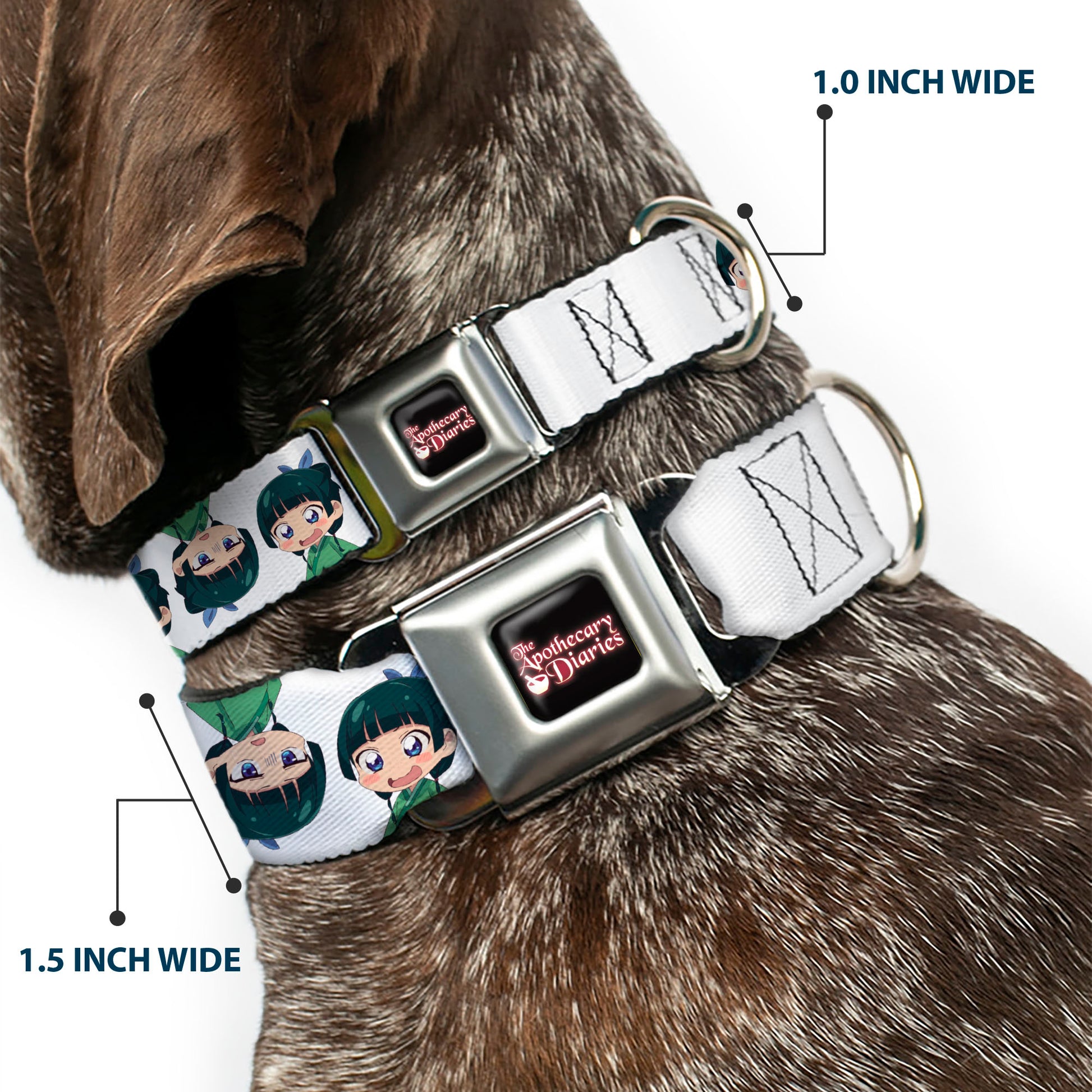 THE APOTHECARY DIARIES Title Logo Full Color Black/Red/White Seatbelt Buckle Collar - The Apothecary Diaries Chibi Maomao Expressions Flip White Seatbelt Buckle Collars The Apothecary Diaries