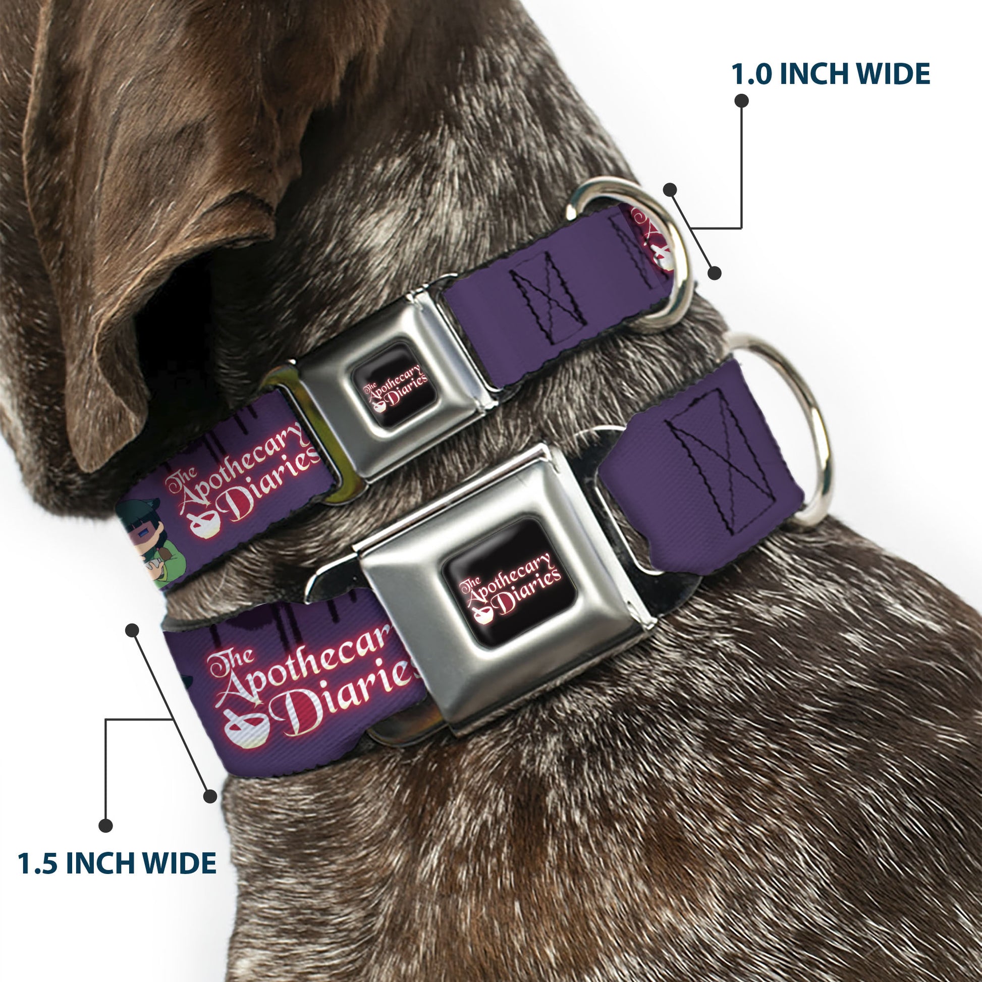 THE APOTHECARY DIARIES Title Logo Full Color Black/Red/White Seatbelt Buckle Collar - THE APOTHECARY DIARIES Chibi Maomao Pose and Title Logo Purple Seatbelt Buckle Collars The Apothecary Diaries