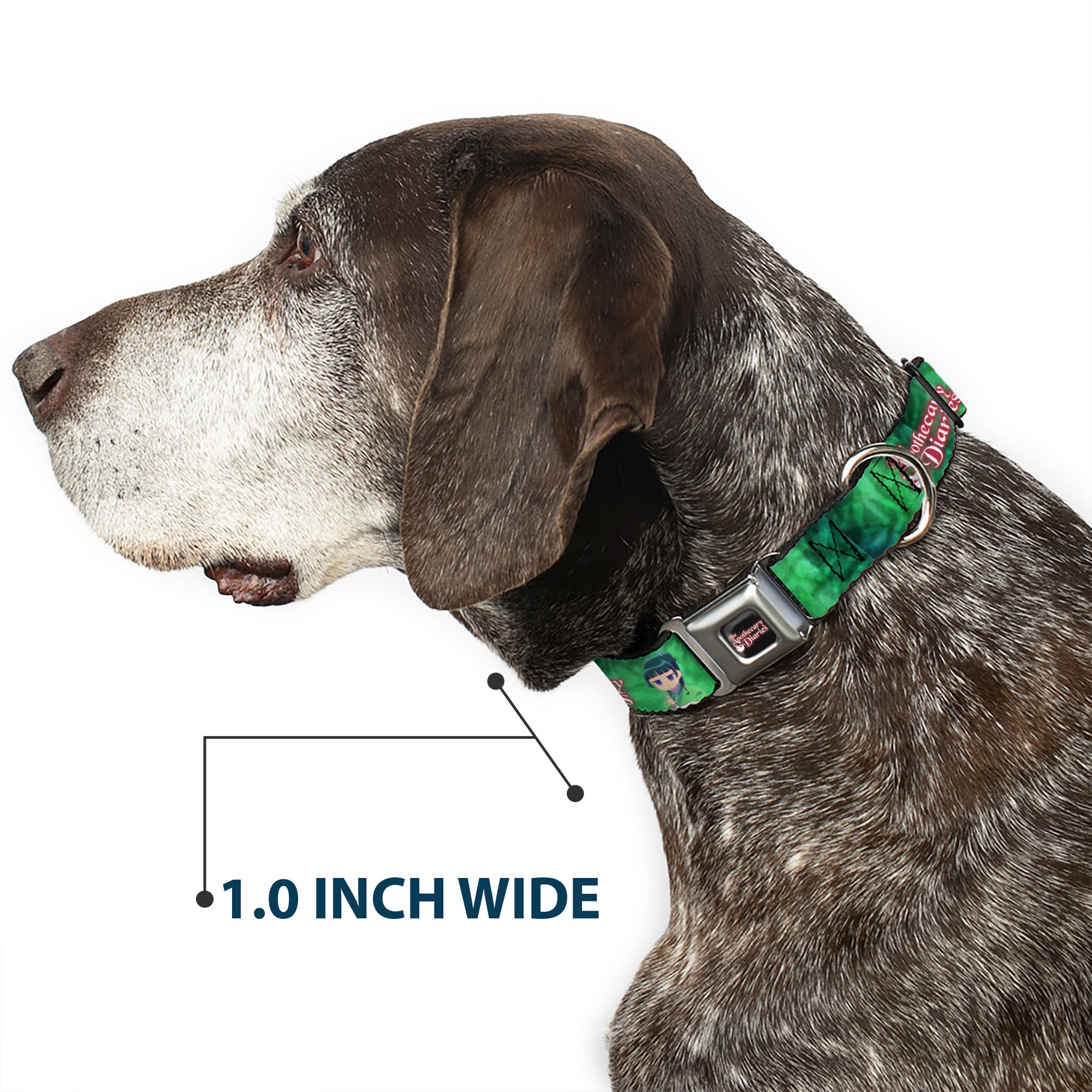 THE APOTHECARY DIARIES Title Logo Full Color Black/Red/White Seatbelt Buckle Collar - THE APOTHECARY DIARIES Maomao Grinding Pose and Title Logo Greens Seatbelt Buckle Collars The Apothecary Diaries