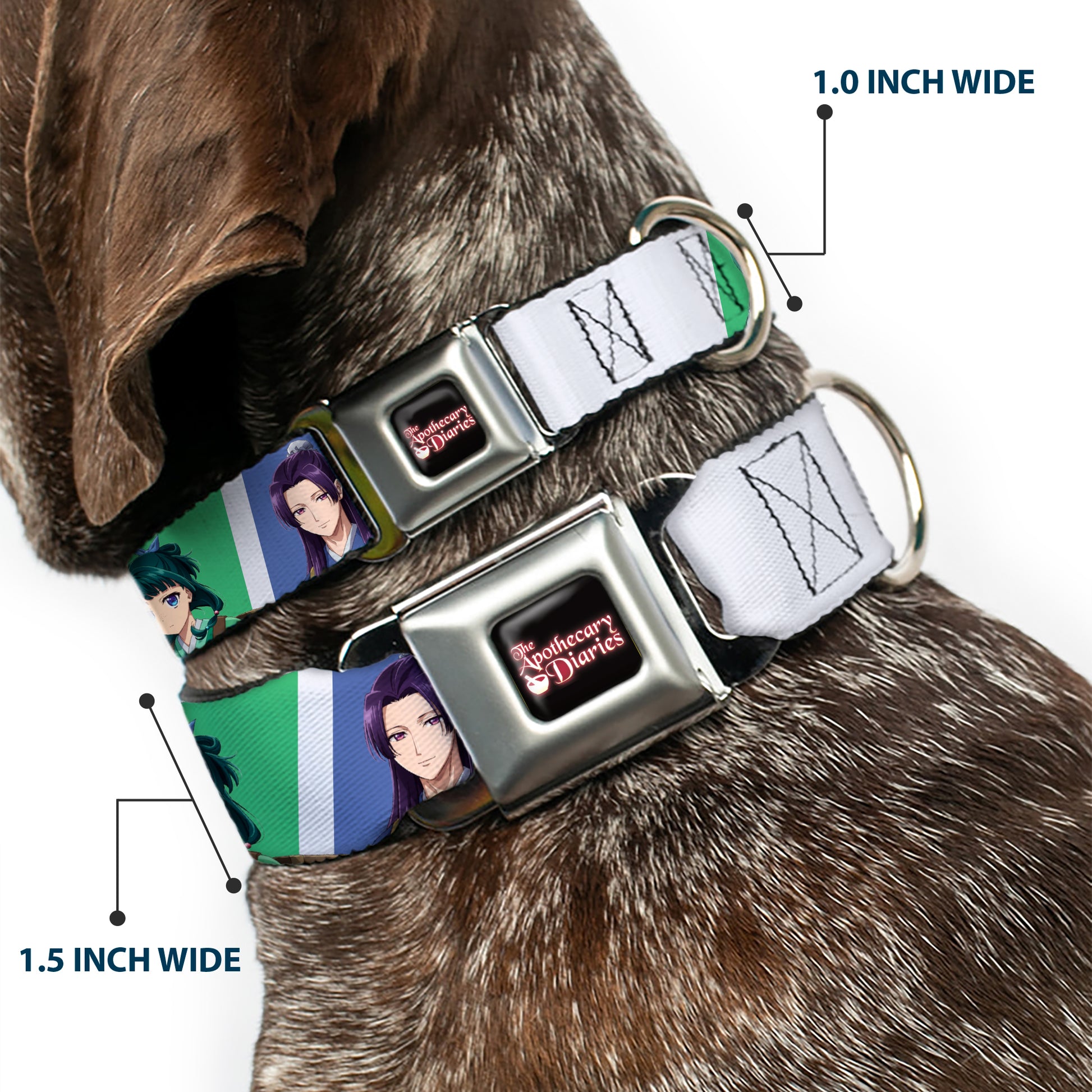 THE APOTHECARY DIARIES Title Logo Full Color Black/Red/White Seatbelt Buckle Collar - The Apothecary Diaries Jinshi and Maomao Pose Blocks White/Blue/Green Seatbelt Buckle Collars The Apothecary Diaries