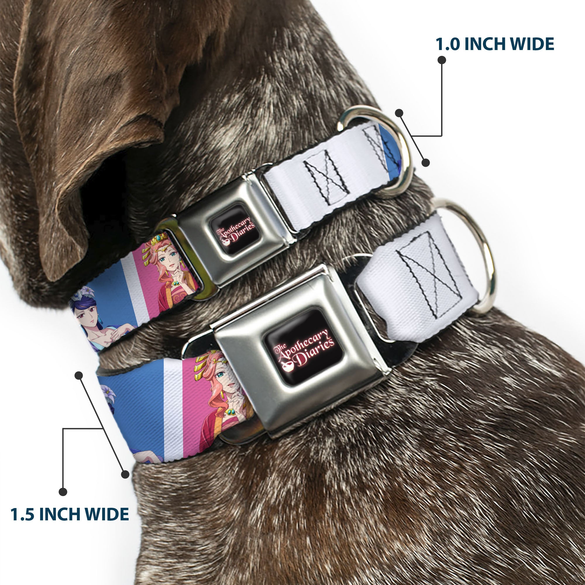 THE APOTHECARY DIARIES Title Logo Full Color Black/Red/White Seatbelt Buckle Collar - The Apothecary Diaries Gyokuyo and Lihua Pose Blocks White/Pink/Blue Seatbelt Buckle Collars The Apothecary Diaries