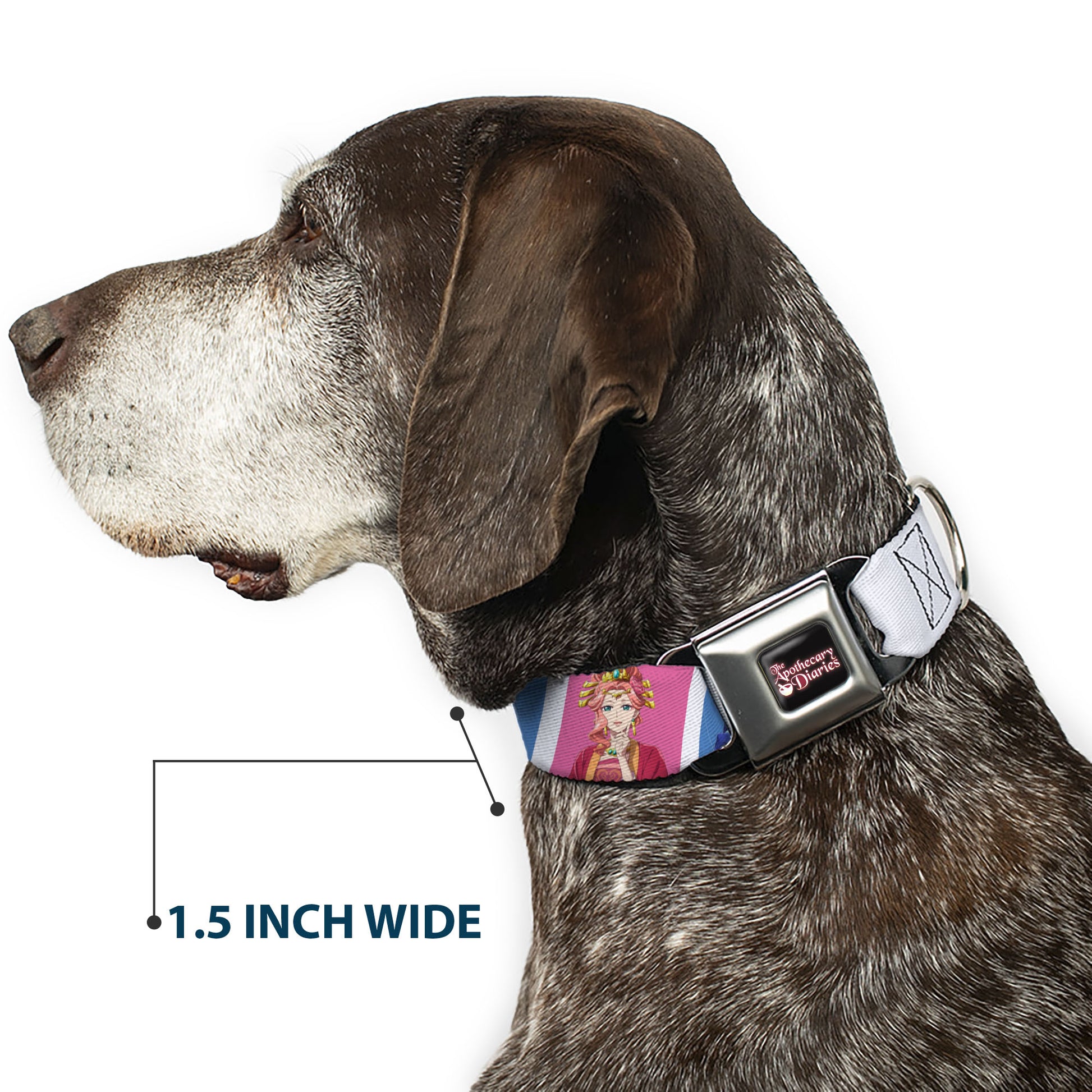 THE APOTHECARY DIARIES Title Logo Full Color Black/Red/White Seatbelt Buckle Collar - The Apothecary Diaries Gyokuyo and Lihua Pose Blocks White/Pink/Blue Seatbelt Buckle Collars The Apothecary Diaries
