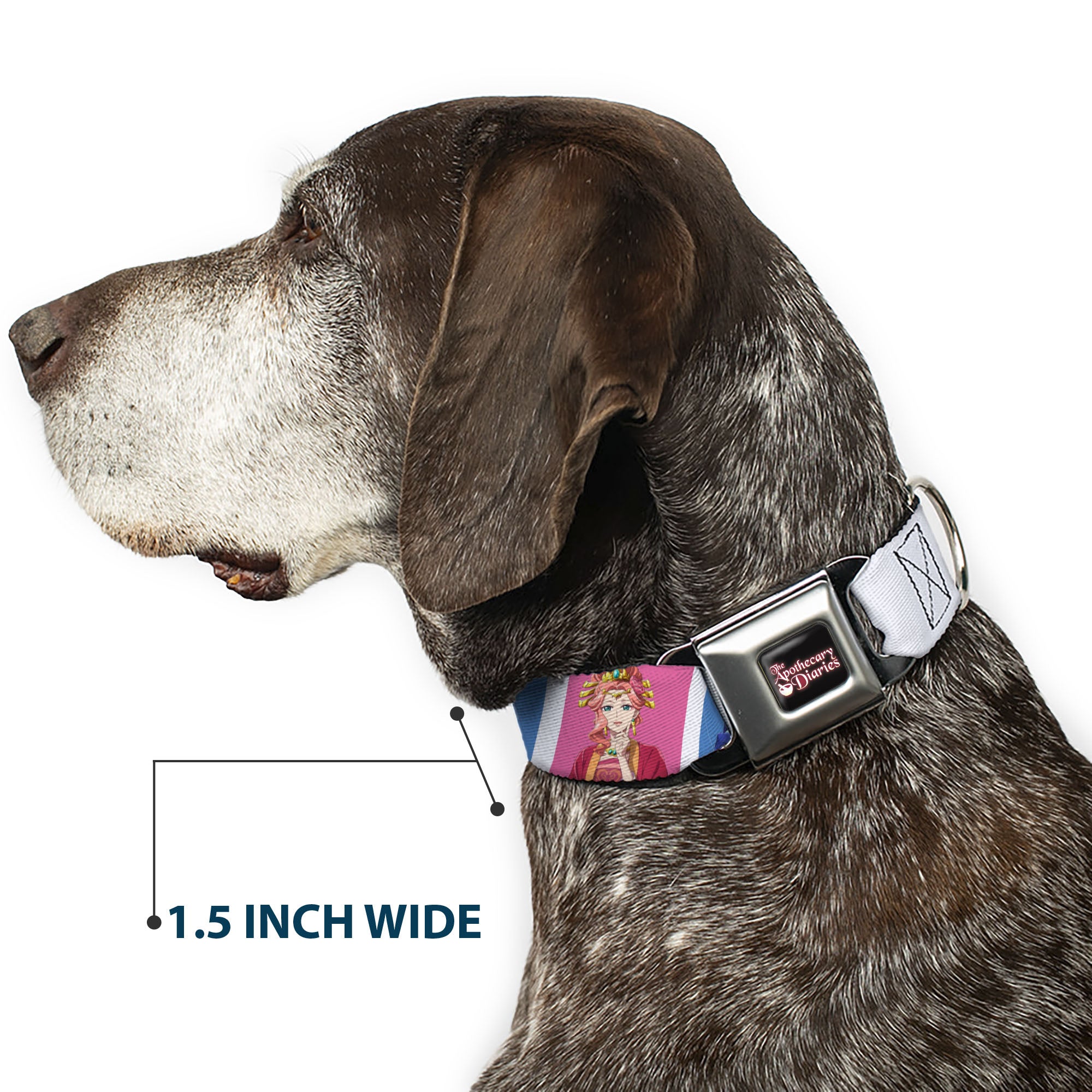 THE APOTHECARY DIARIES Title Logo Full Color Black/Red/White Seatbelt Buckle Collar - The Apothecary Diaries Gyokuyo and Lihua Pose Blocks White/Pink/Blue Seatbelt Buckle Collars The Apothecary Diaries