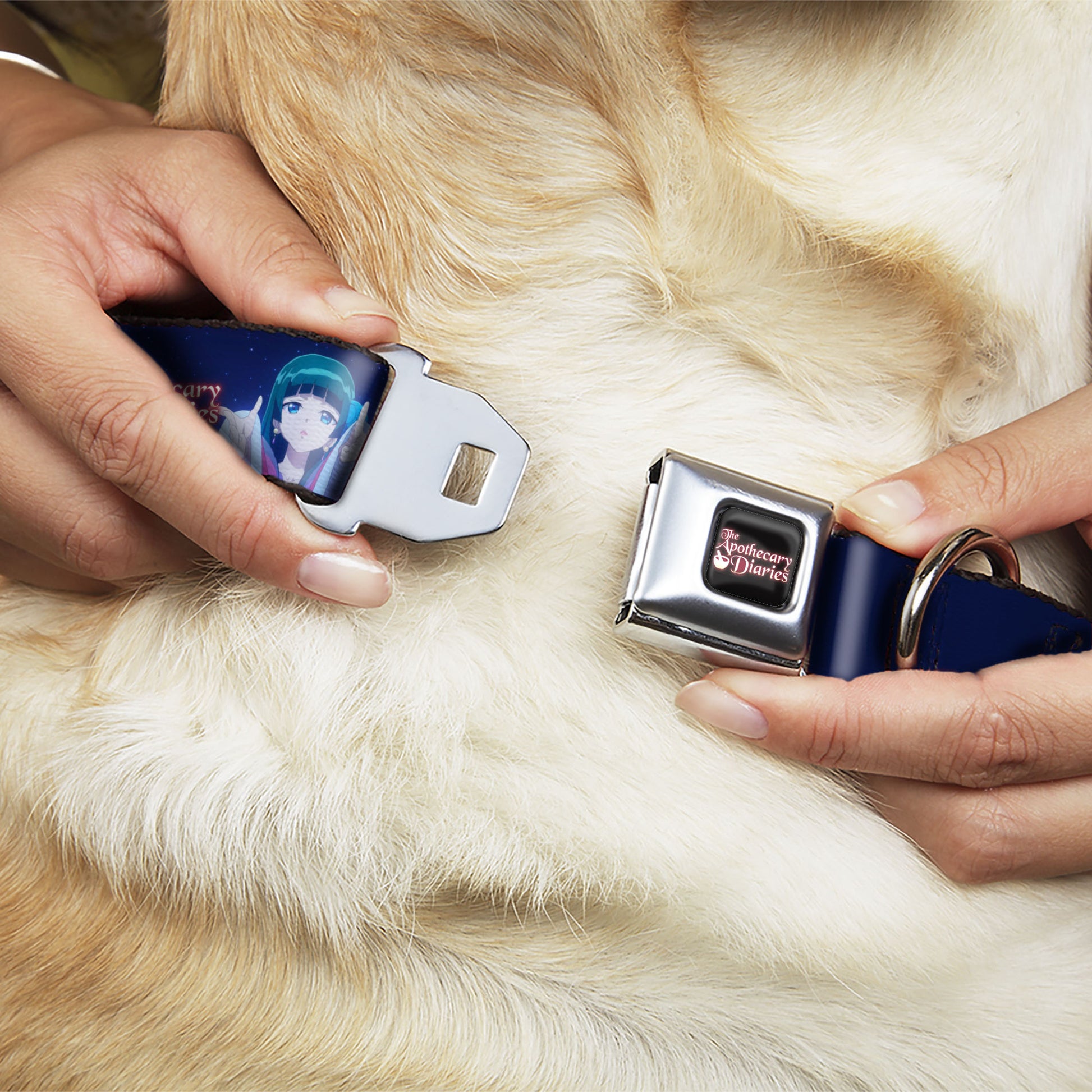 THE APOTHECARY DIARIES Title Logo Full Color Black/Red/White Seatbelt Buckle Collar - THE APOTHECARY DIARIES Maomao Hands Out Pose and Title Logo Purples Seatbelt Buckle Collars The Apothecary Diaries