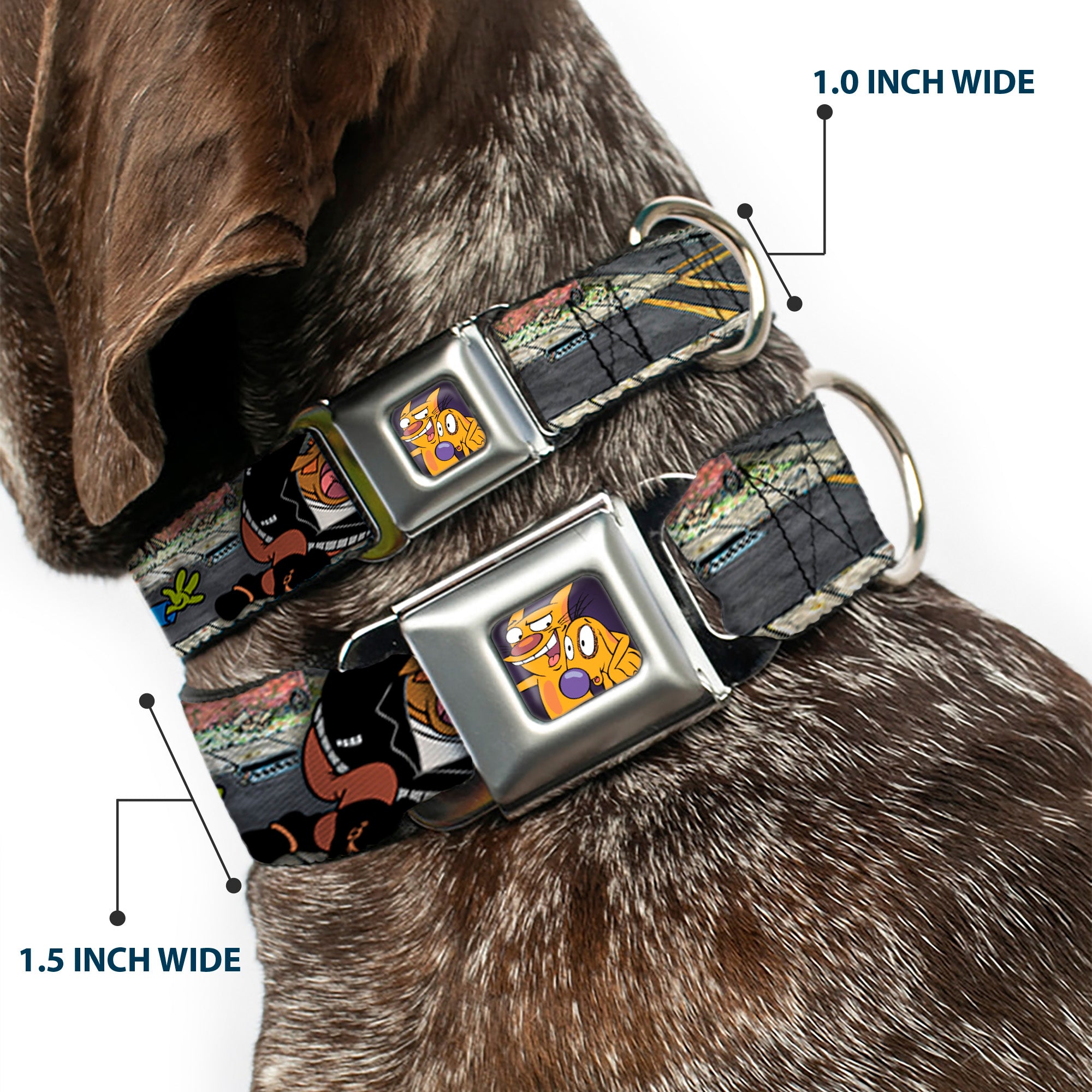 Dog & Cat Pose Full Color Seatbelt Buckle Collar - CATDOG Characters Running Seatbelt Buckle Collars CatDog