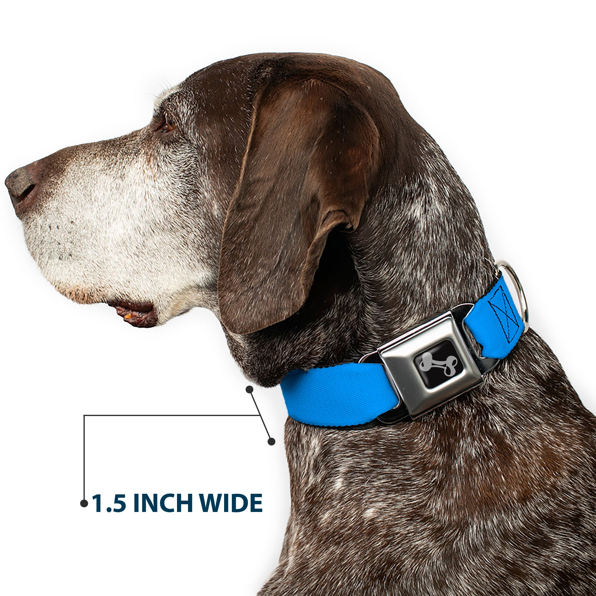 Dog Bone Seatbelt Buckle Collar - Baby Blue Seatbelt Buckle Collars Buckle-Down