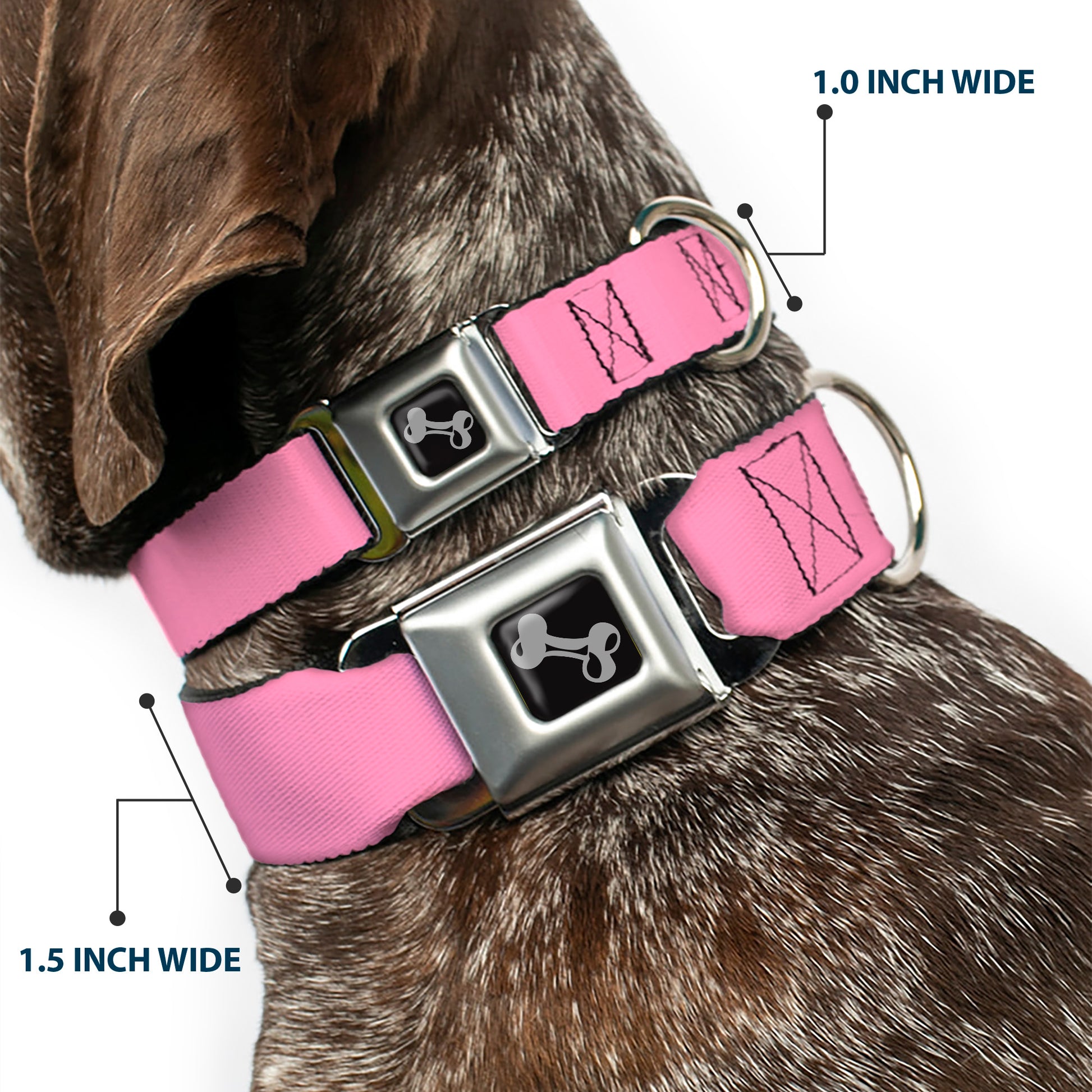 Dog Bone Seatbelt Buckle Collar - Baby Pink Seatbelt Buckle Collars Buckle-Down
