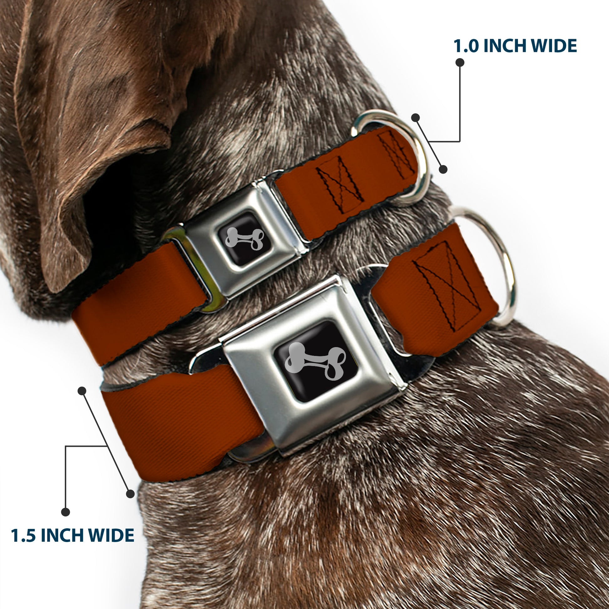 Dog Bone Seatbelt Buckle Collar - Brown Seatbelt Buckle Collars Buckle-Down