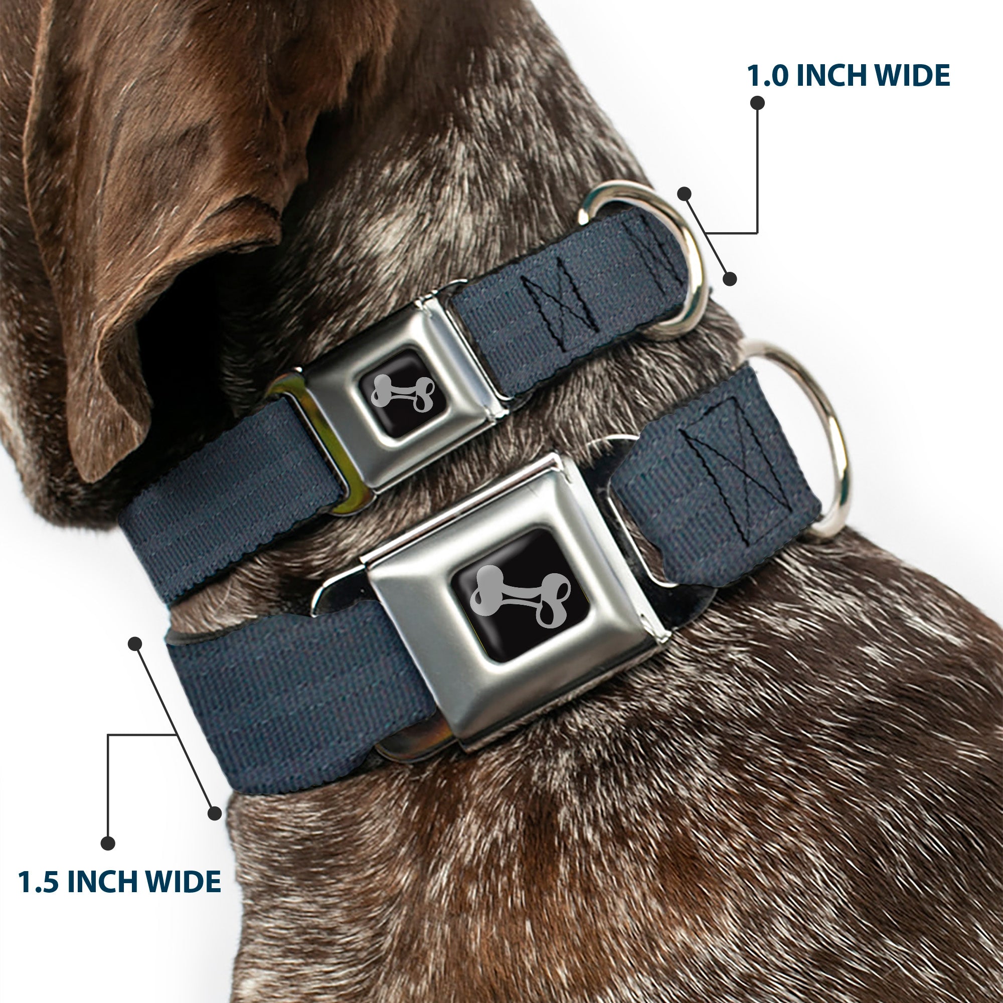 Dog Bone Black/Silver Seatbelt Buckle Collar - Black Panel Seatbelt Buckle Collars Buckle-Down