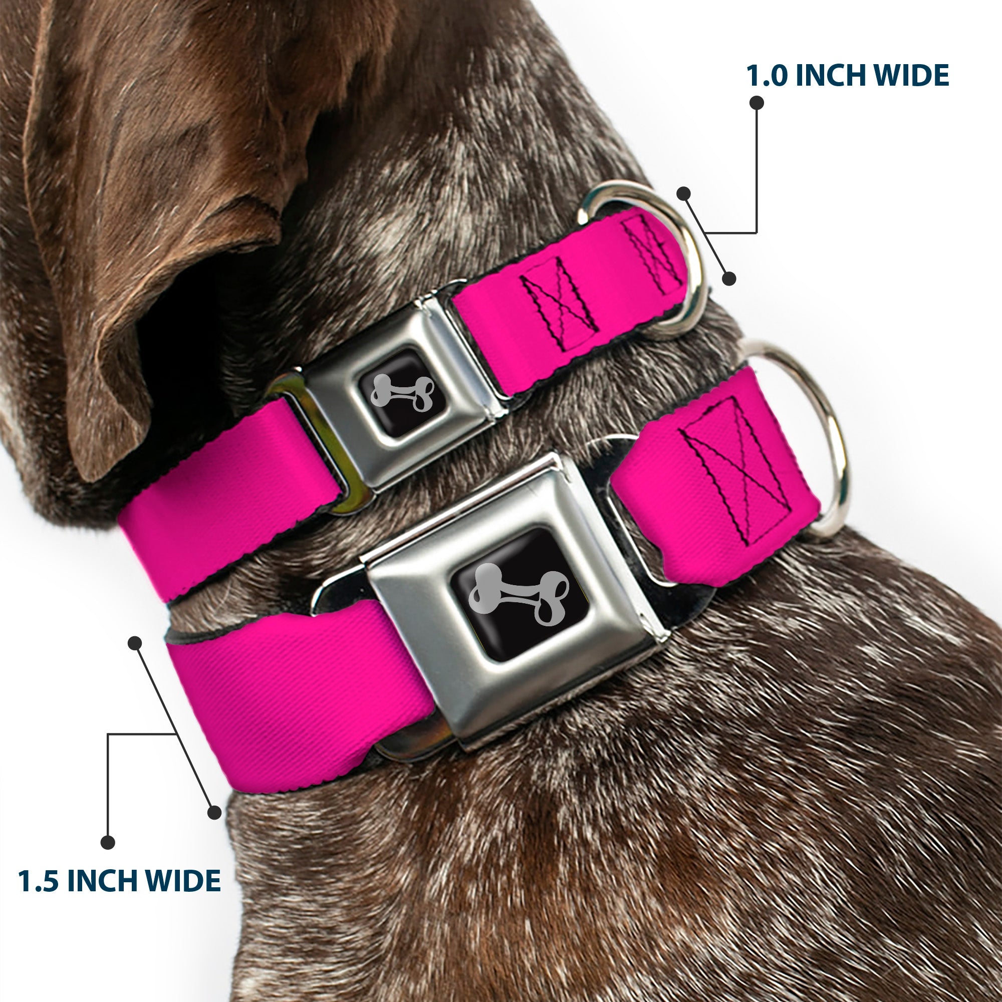 Dog Bone Seatbelt Buckle Collar - Fuchsia Seatbelt Buckle Collars Buckle-Down