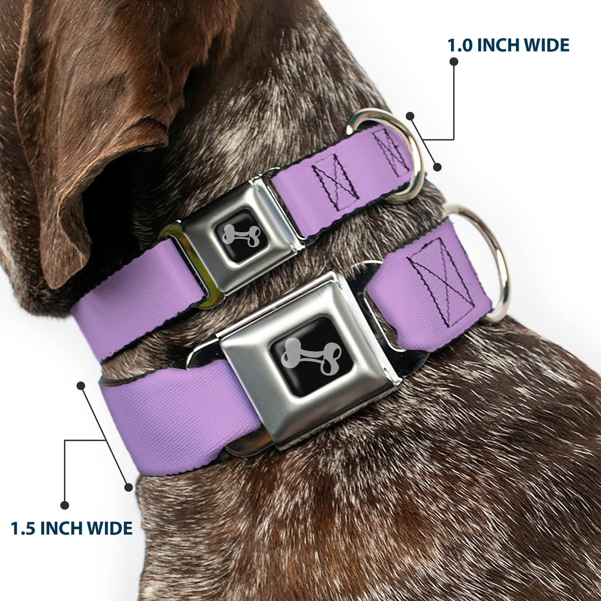 Dog Bone Seatbelt Buckle Collar - Lavender Seatbelt Buckle Collars Buckle-Down