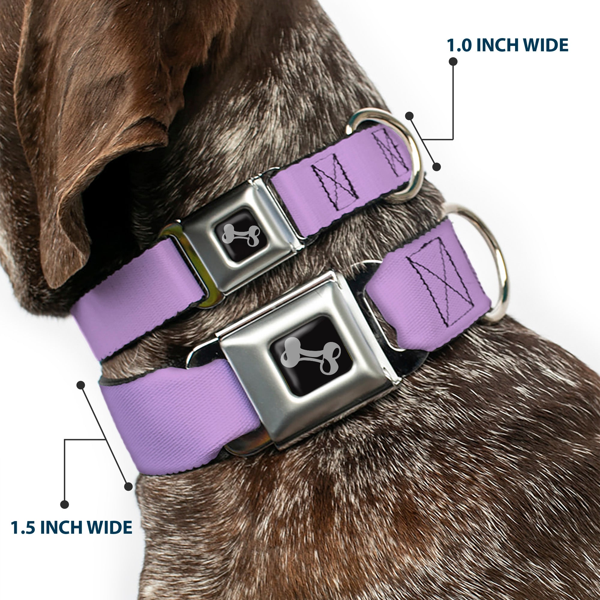 Dog Bone Seatbelt Buckle Collar - Lavender Seatbelt Buckle Collars Buckle-Down