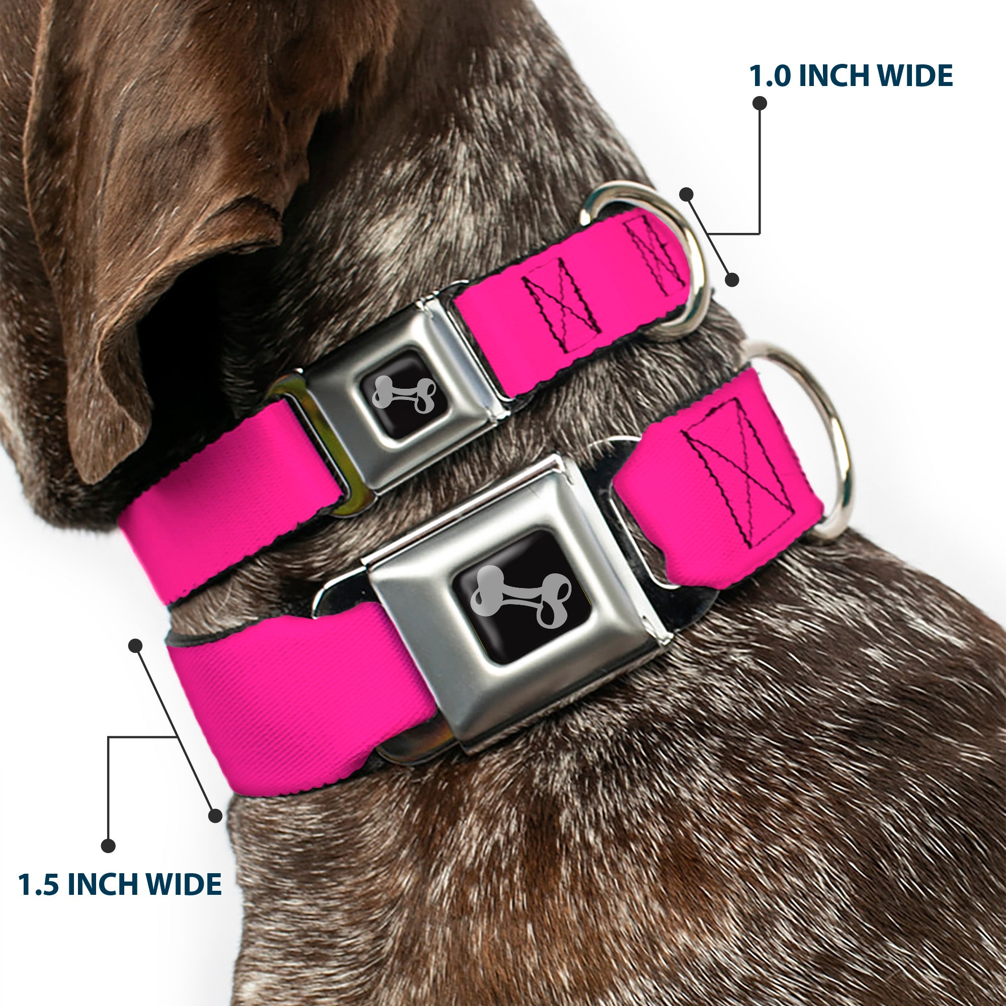 Dog Bone Seatbelt Buckle Collar - Neon Pink Seatbelt Buckle Collars Buckle-Down