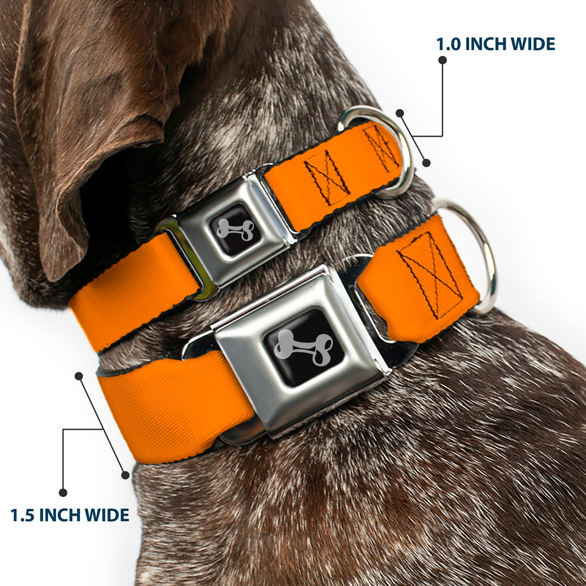Dog Bone Seatbelt Buckle Collar - Orange Seatbelt Buckle Collars Buckle-Down
