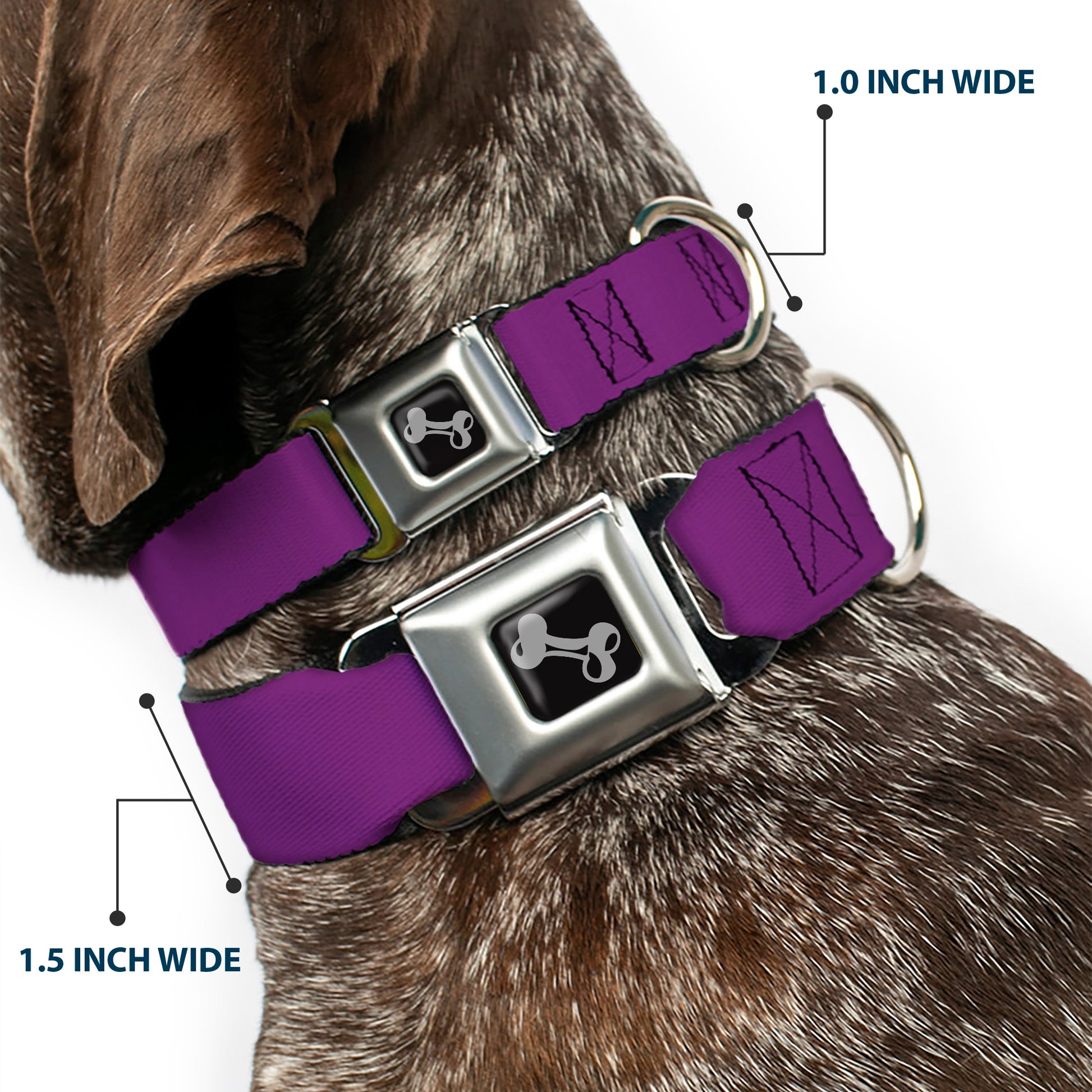 Dog Bone Seatbelt Buckle Collar - Purple Seatbelt Buckle Collars Buckle-Down