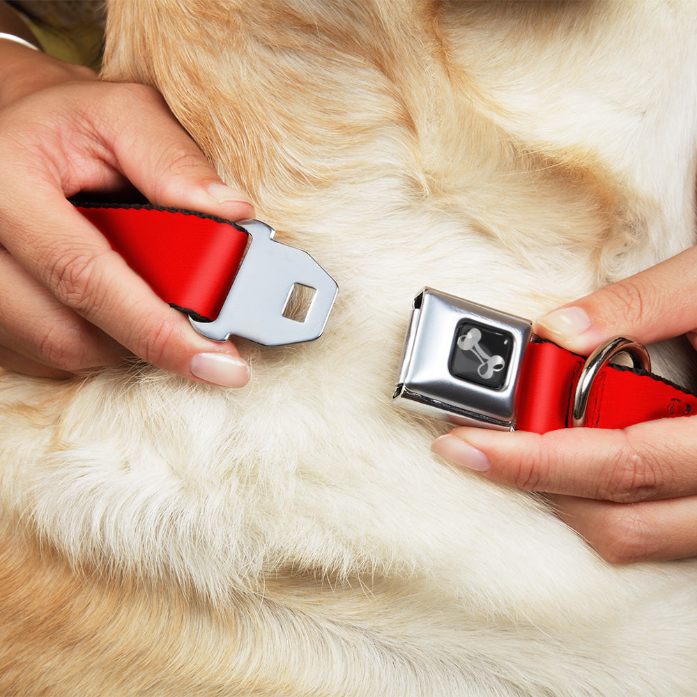 Dog Bone Seatbelt Buckle Collar - Red Seatbelt Buckle Collars Buckle-Down