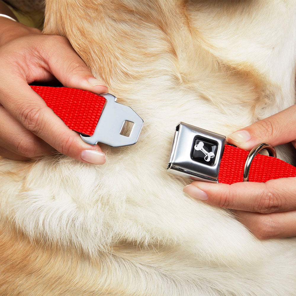Dog Bone Black/Silver Seatbelt Buckle Collar - Red Nylon Seatbelt Buckle Collars Buckle-Down