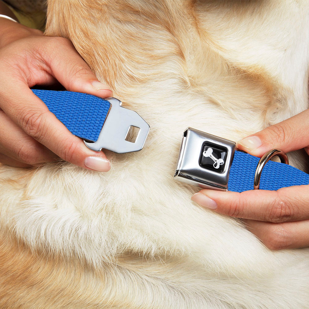 Dog Bone Black/Silver Seatbelt Buckle Collar - Royal Nylon Seatbelt Buckle Collars Buckle-Down