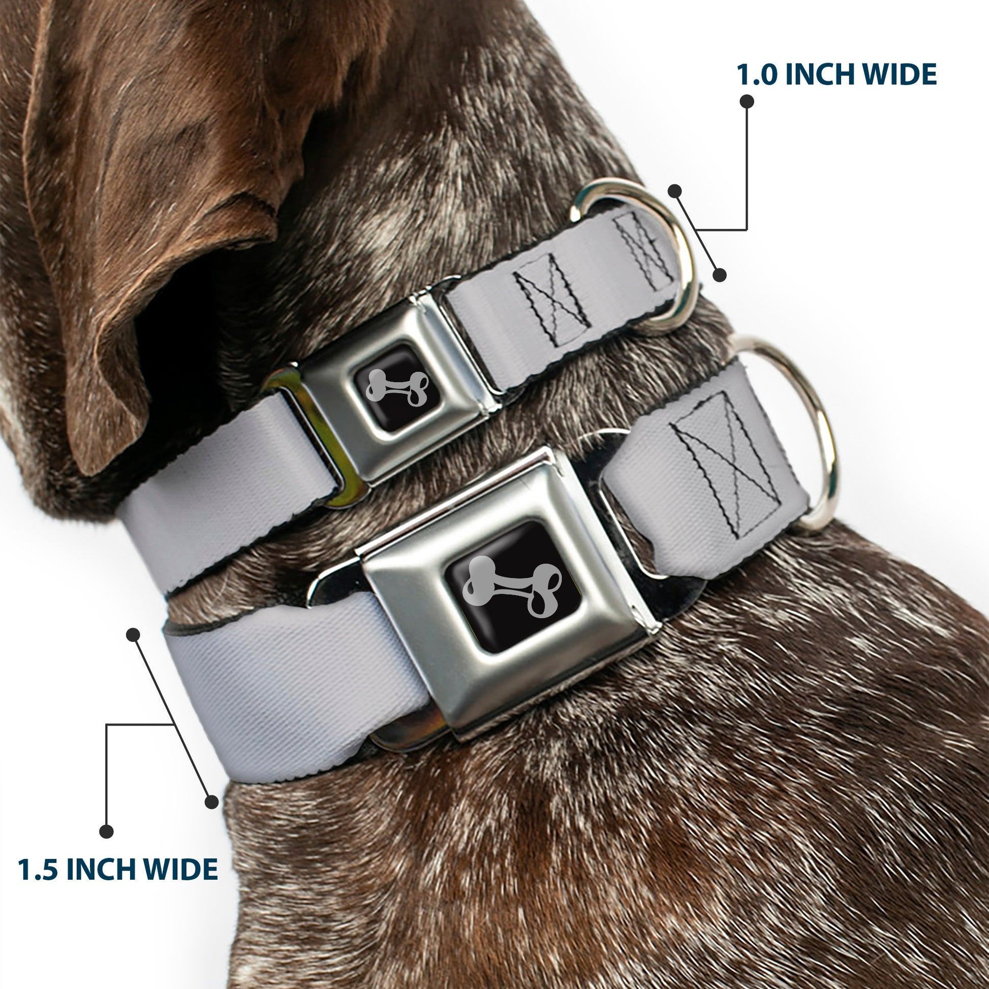 Dog Bone Seatbelt Buckle Collar - Silver Seatbelt Buckle Collars Buckle-Down