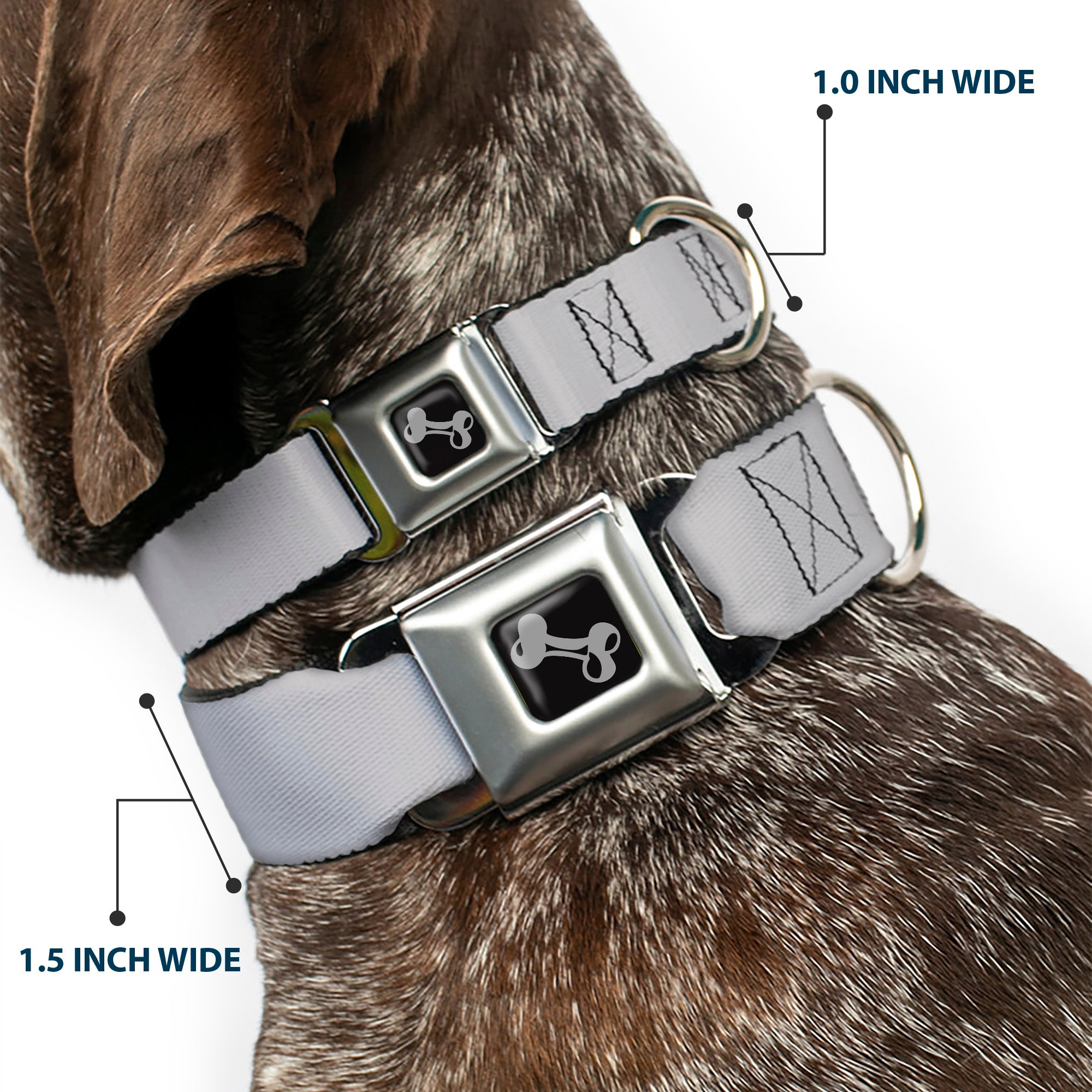 Dog Bone Seatbelt Buckle Collar - Silver Seatbelt Buckle Collars Buckle-Down