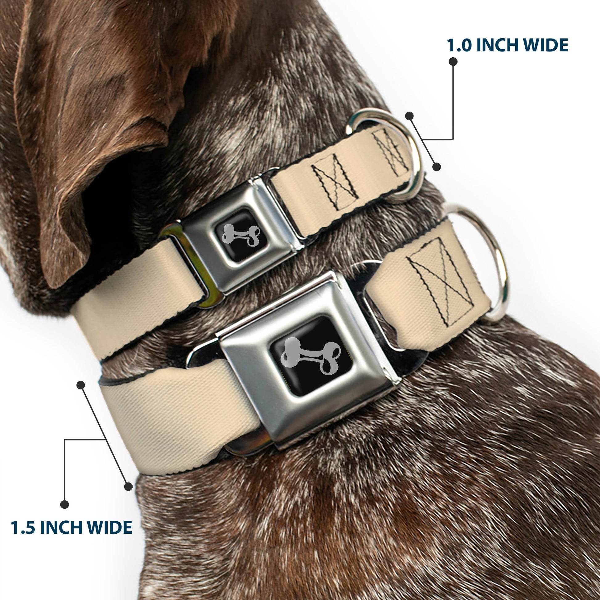 Dog Bone Seatbelt Buckle Collar - Tan Seatbelt Buckle Collars Buckle-Down