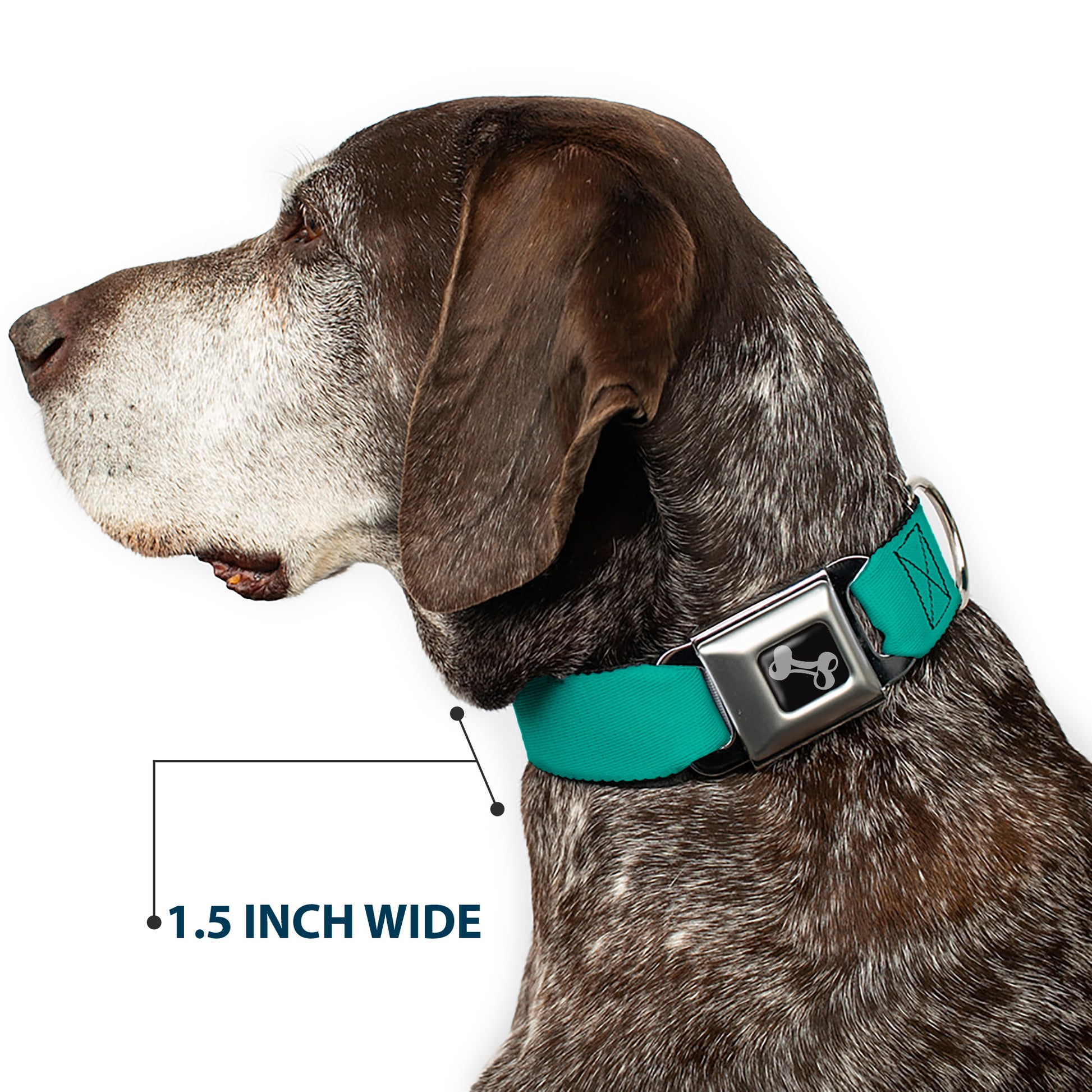 Dog Bone Seatbelt Buckle Collar - Teal Seatbelt Buckle Collars Buckle-Down